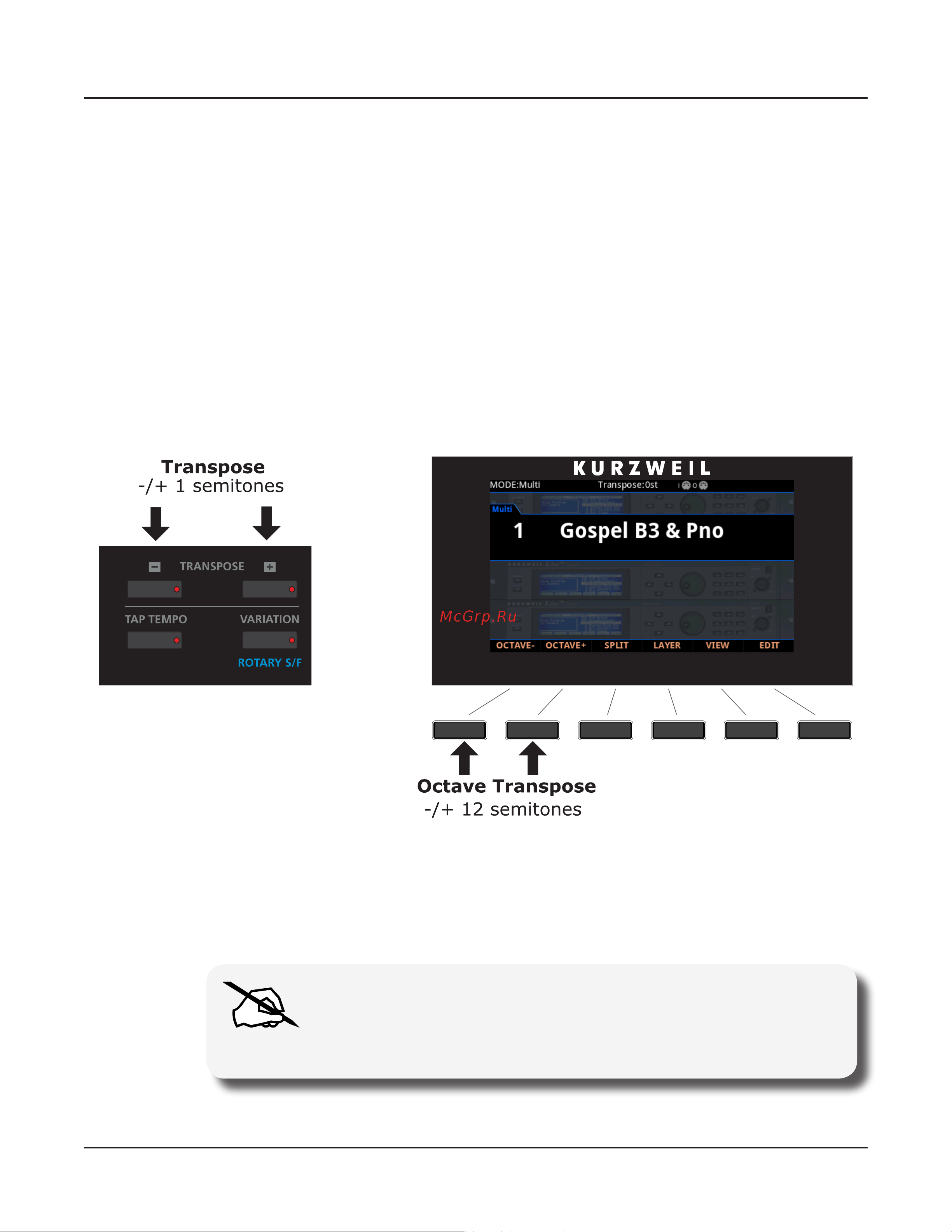 Kurzweil FORTE [109/244] Transposition