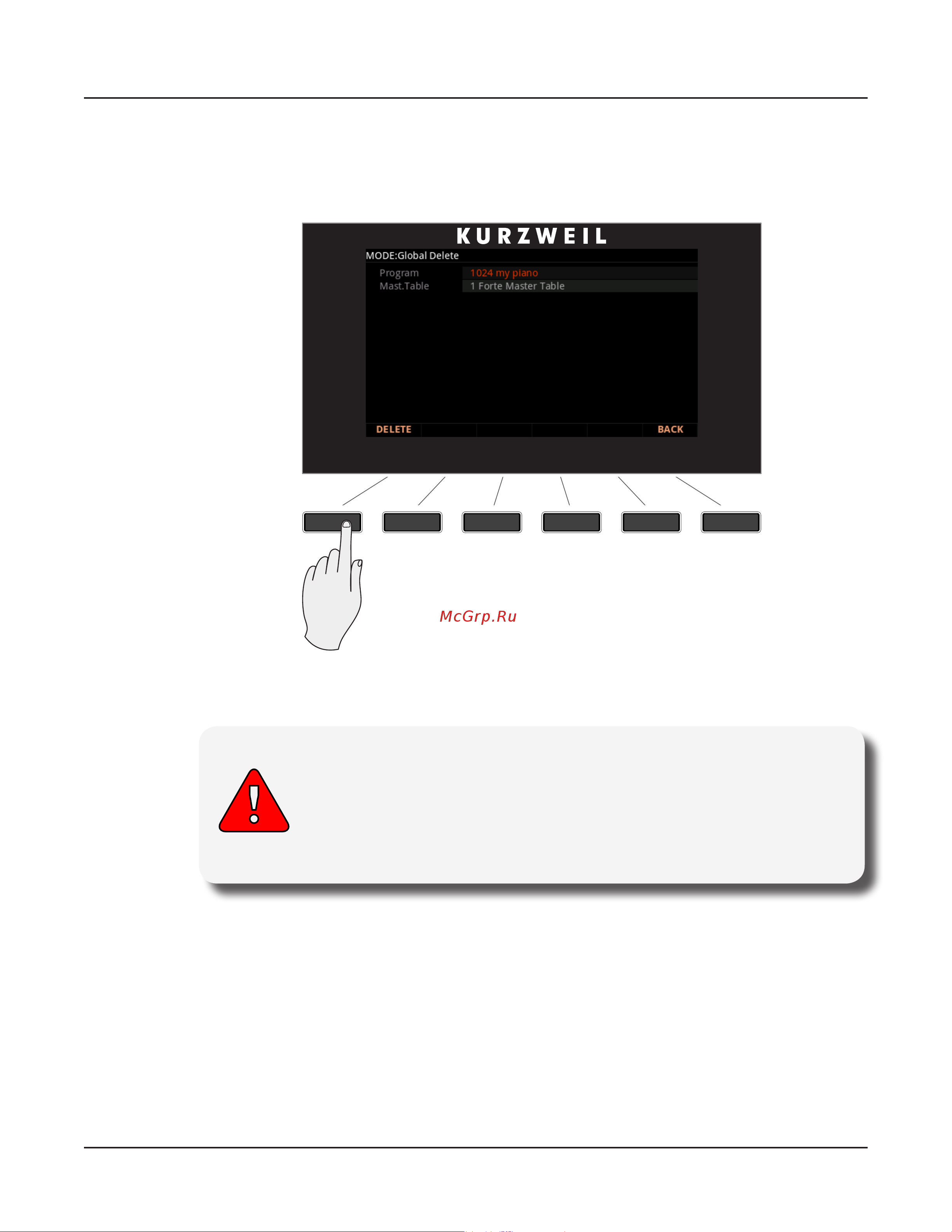 Kurzweil FORTE [171/244] Delete page