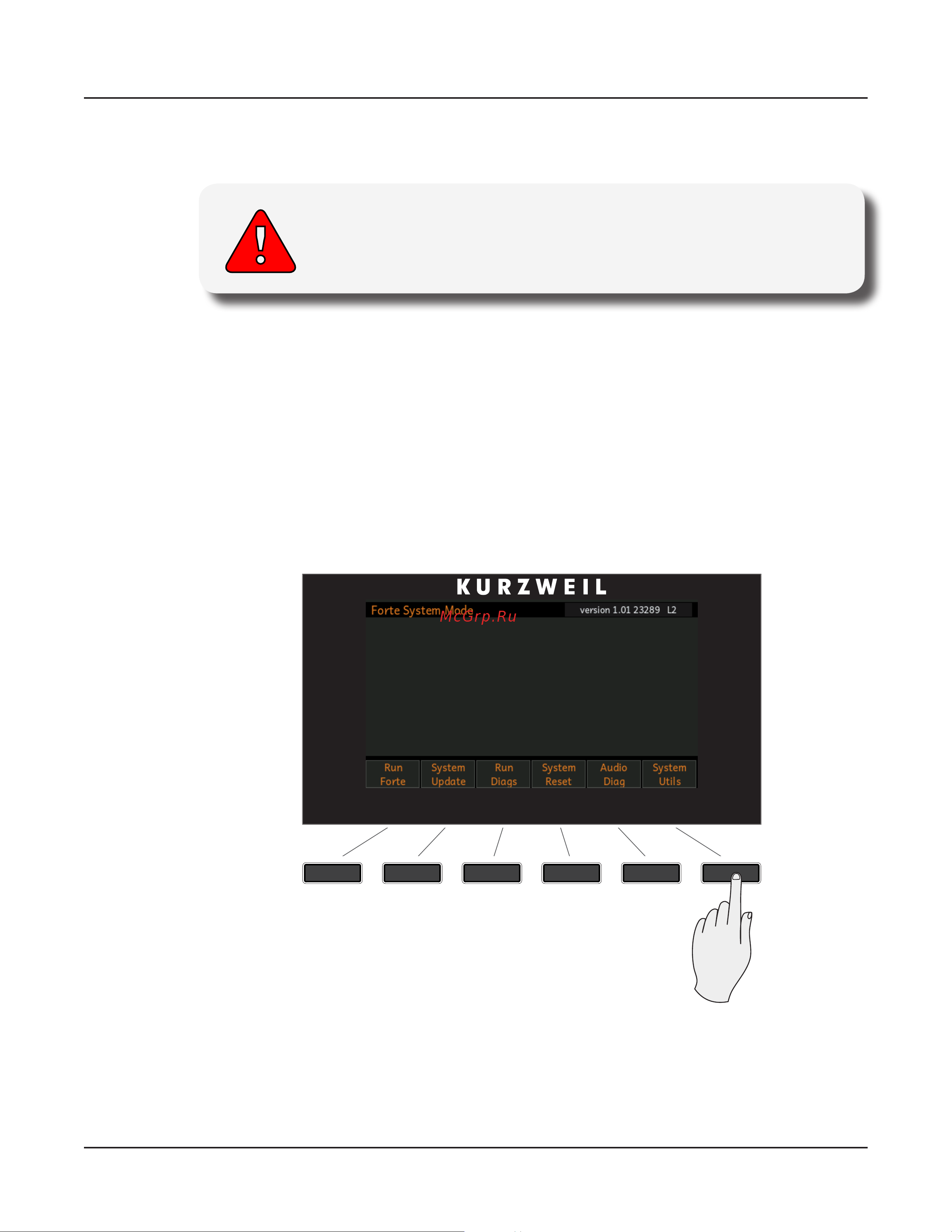 Kurzweil FORTE [198/244] Format flash