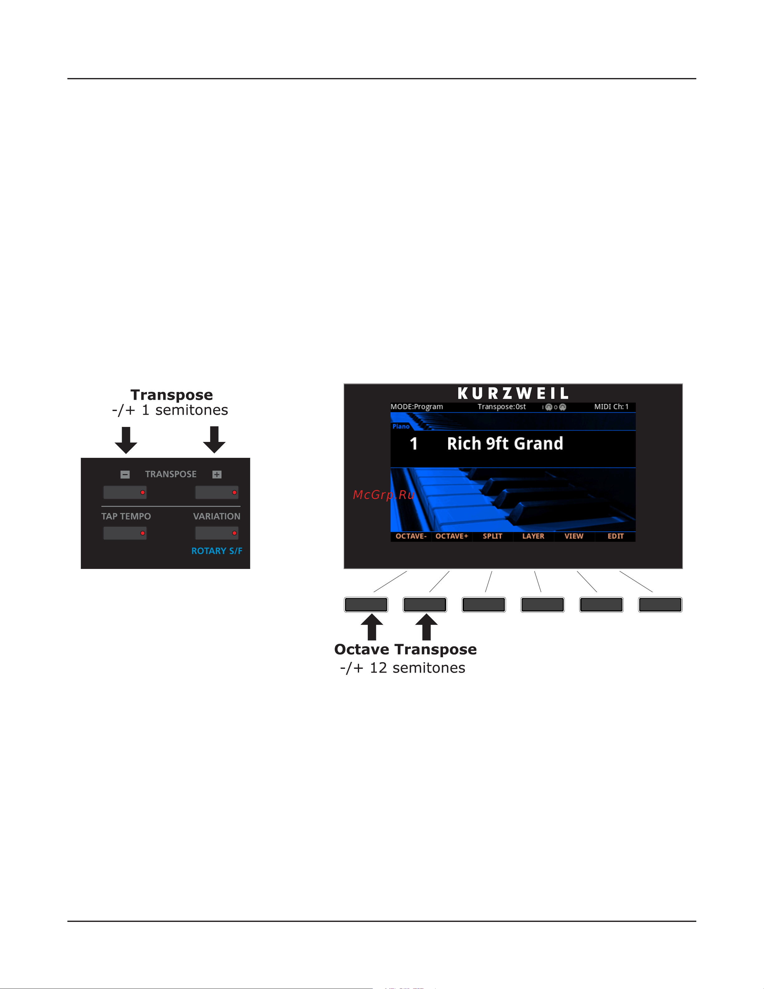 Kurzweil FORTE [75/244] Transposition