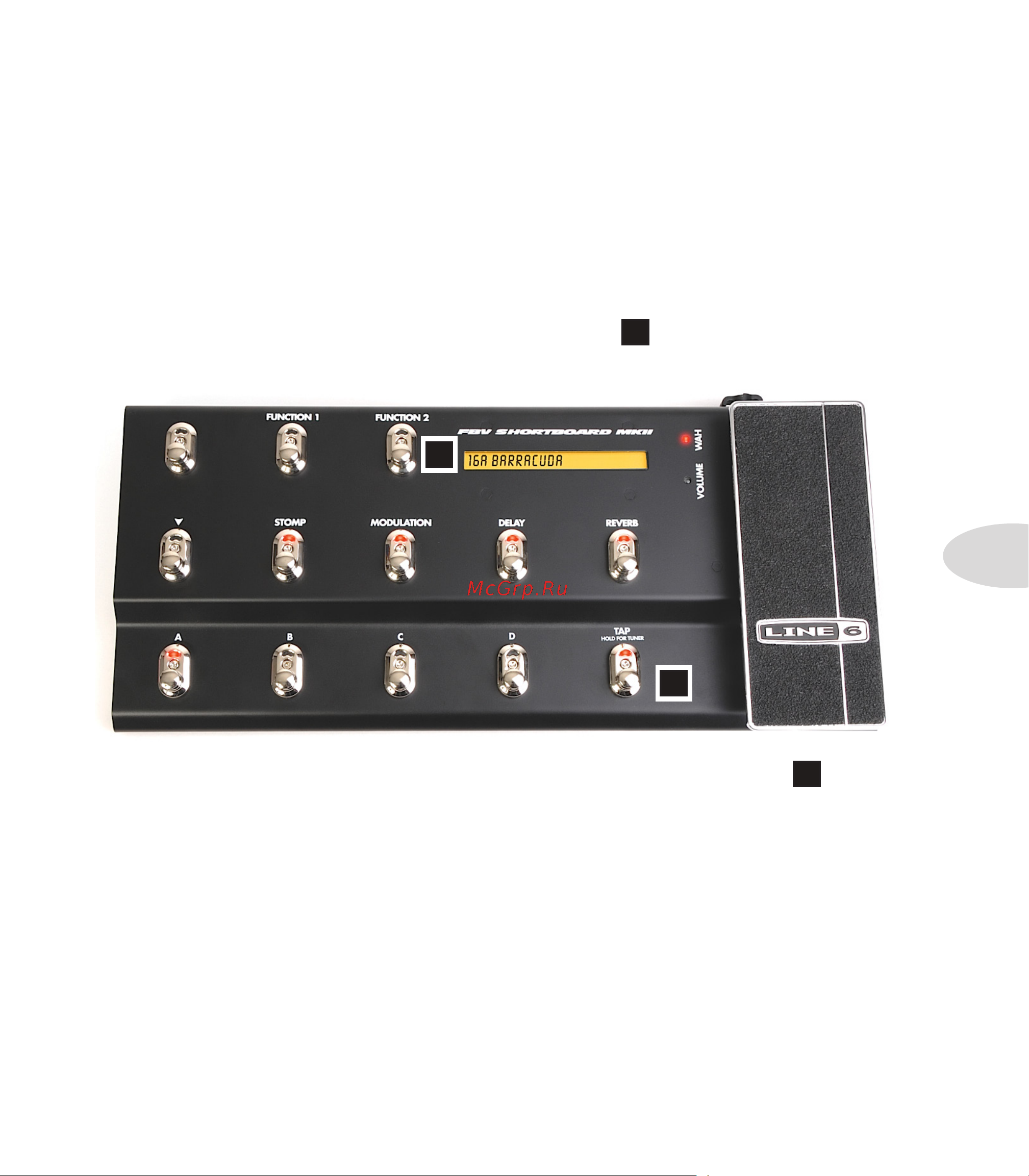 LINE 6 Spider Valve MkII HD100 [27/41] Looper tips