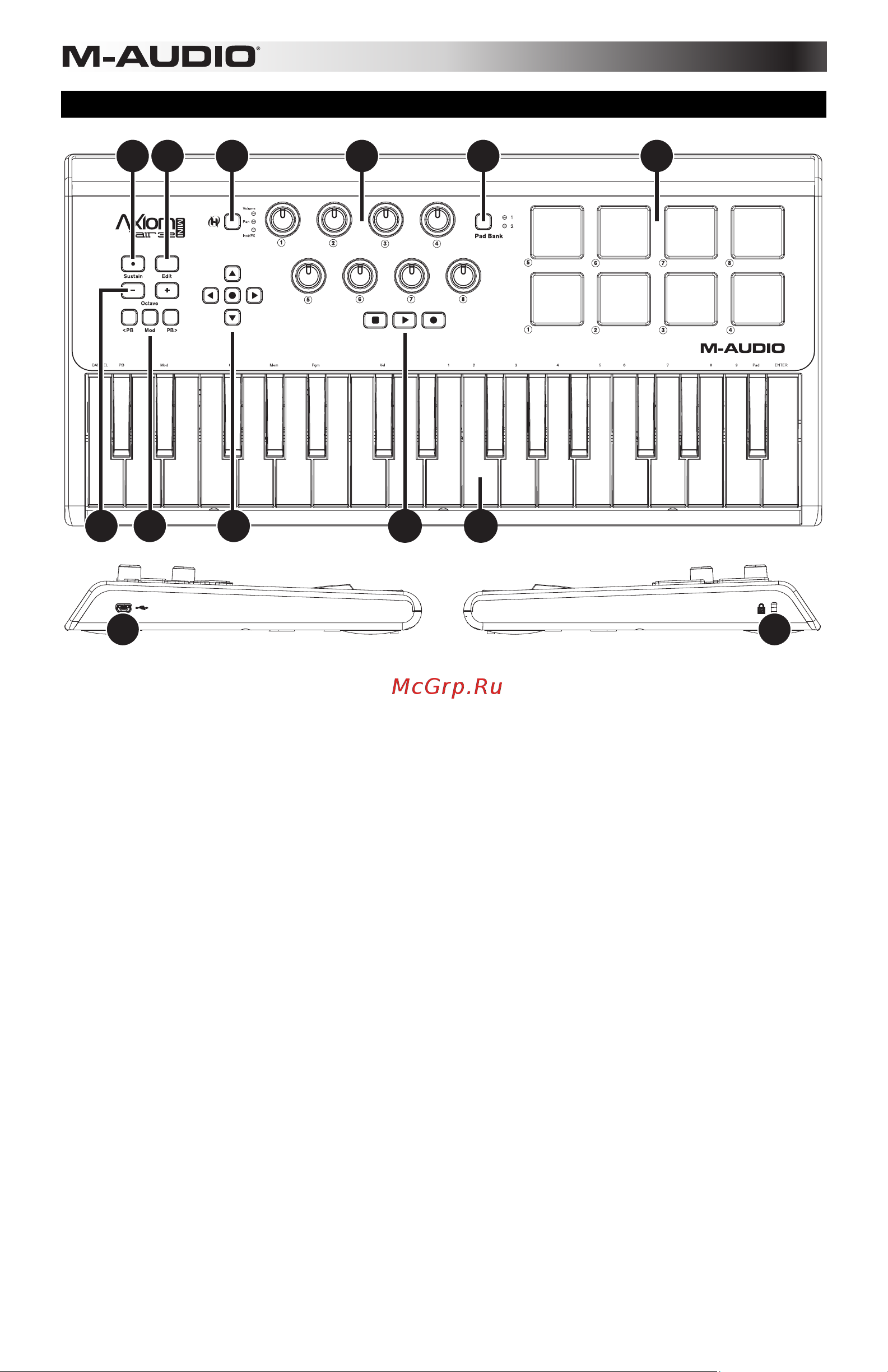 M-Audio Axiom AIR Mini 32 [14/56] Controles y conexiones