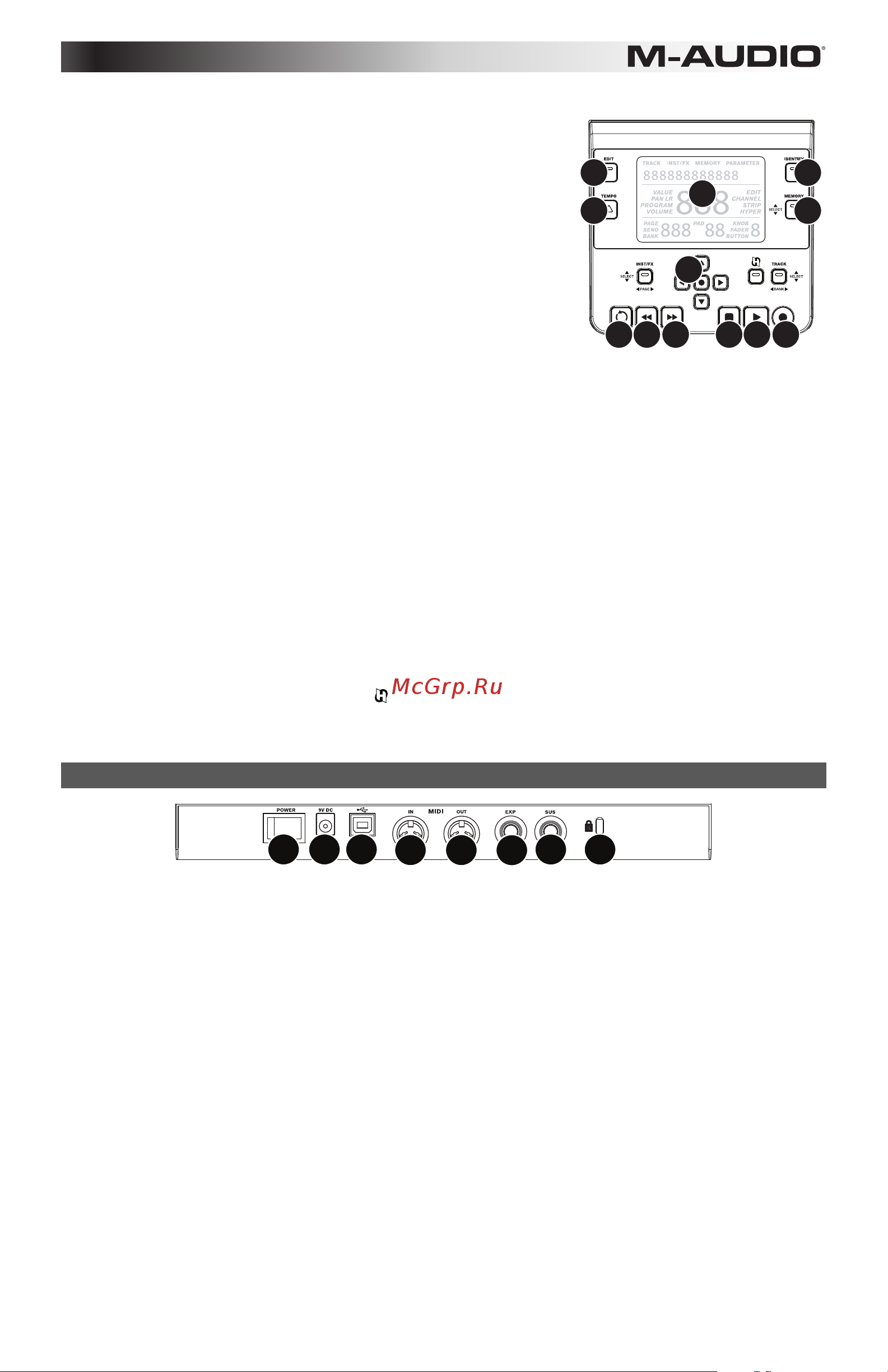 M-Audio Axiom AIR 61 [17/60] Panel trasero
