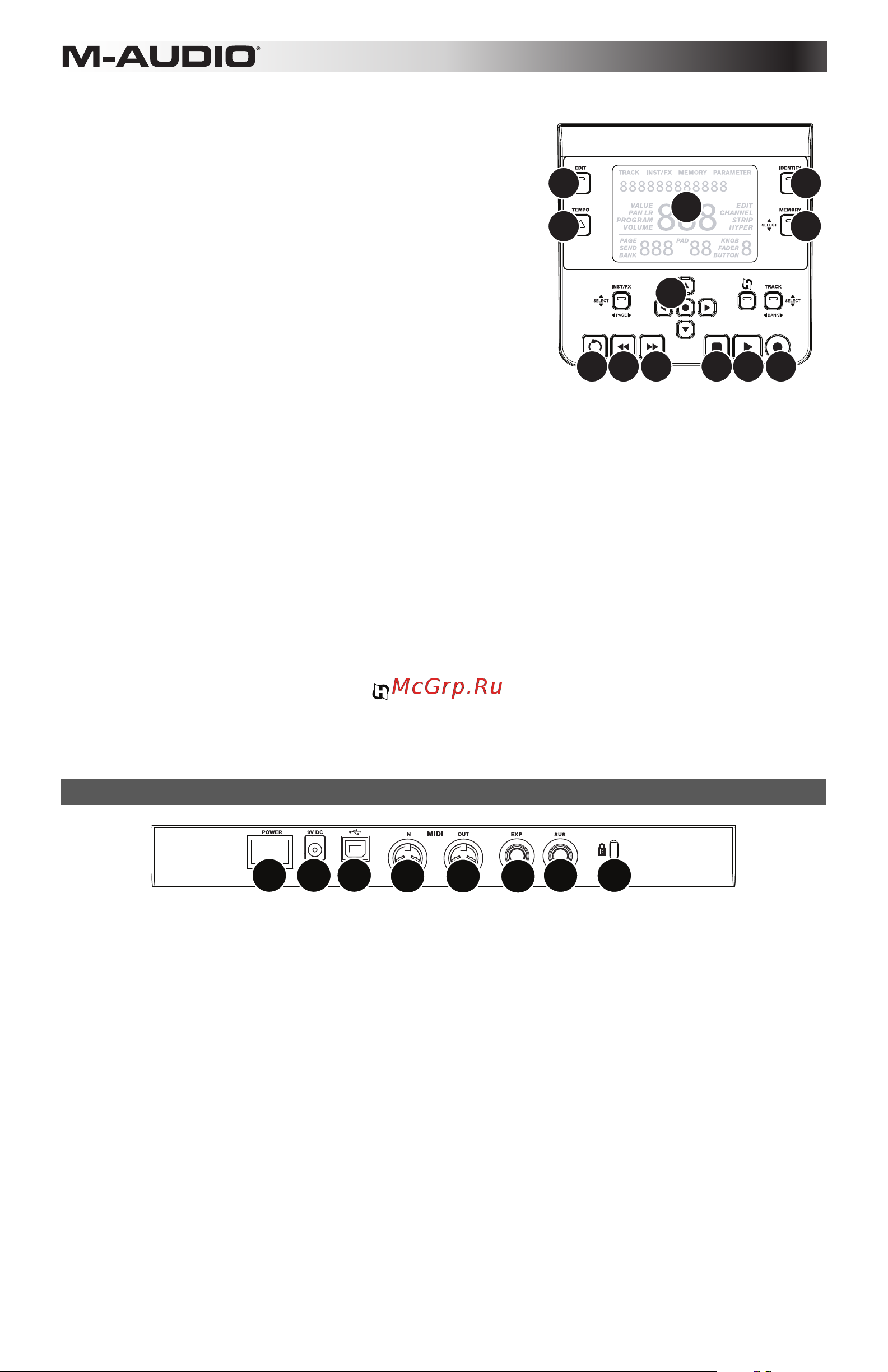 M-Audio Axiom AIR 61 [28/60] Panneau arrière