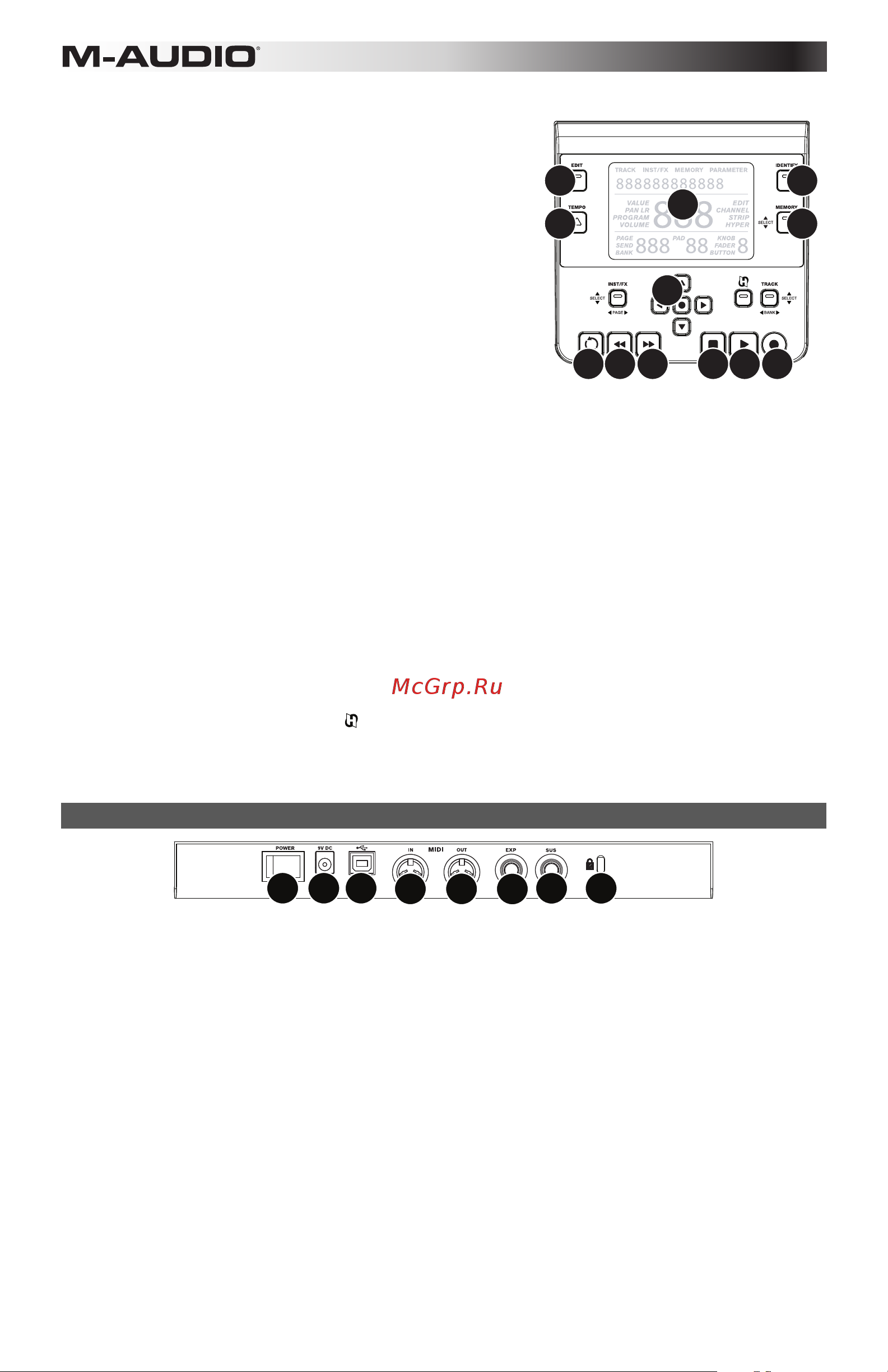 M-Audio Axiom AIR 61 [50/60] 2 3 4 5 6 7 8