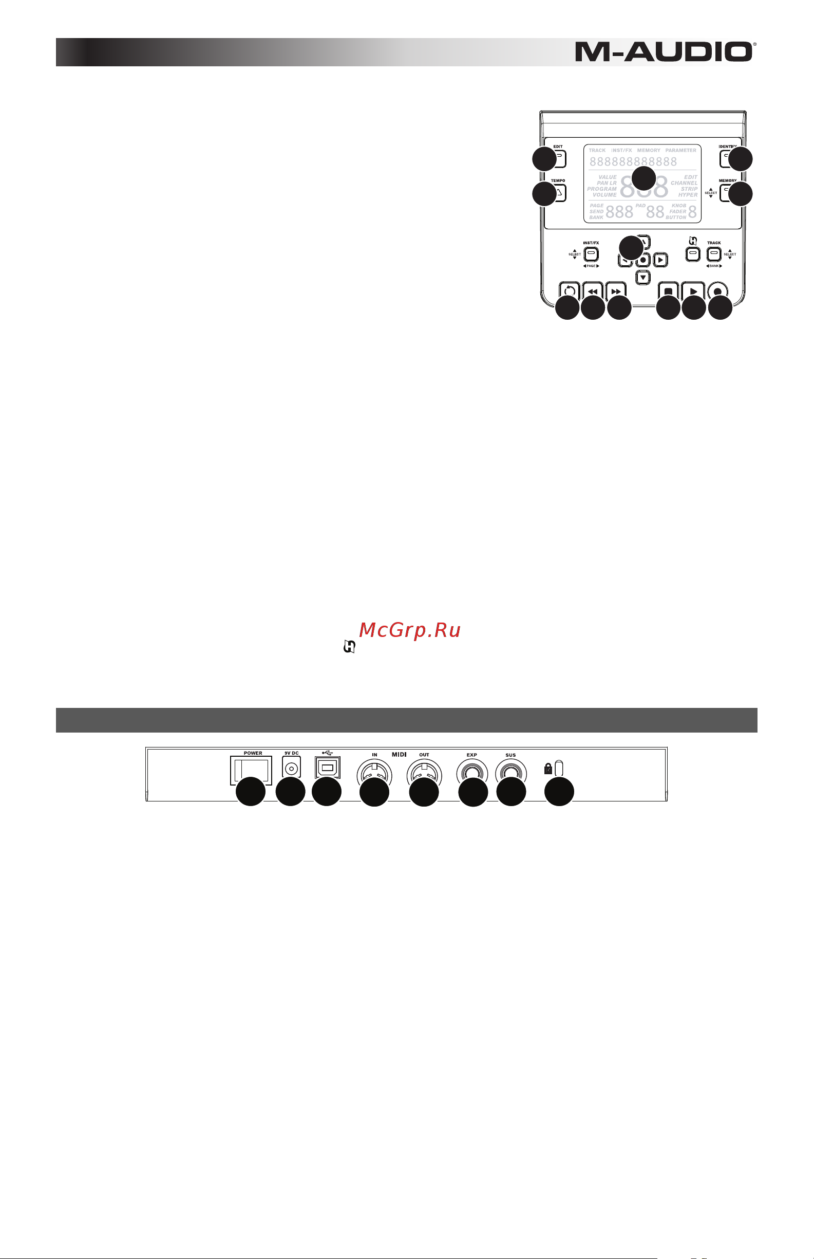 M-Audio Axiom AIR 25 [17/60] Panel trasero
