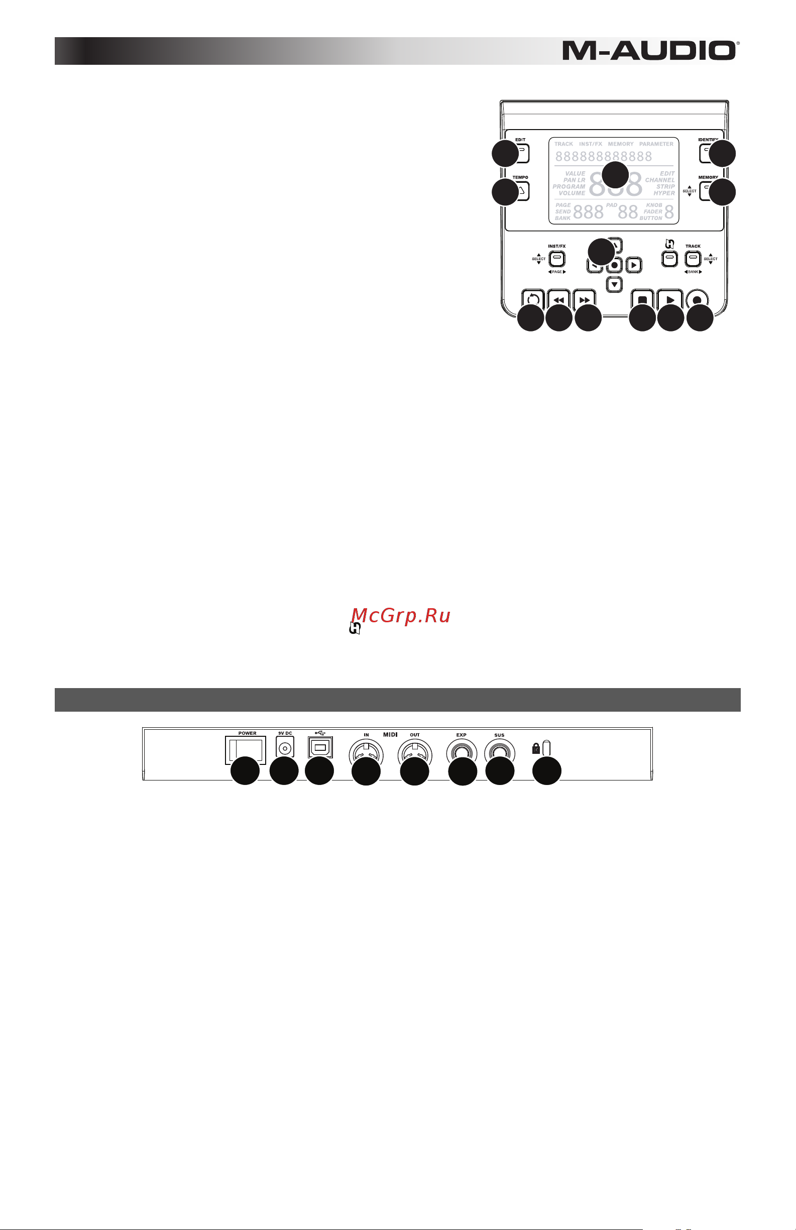 M-Audio Axiom AIR 25 [39/60] Pannello posteriore