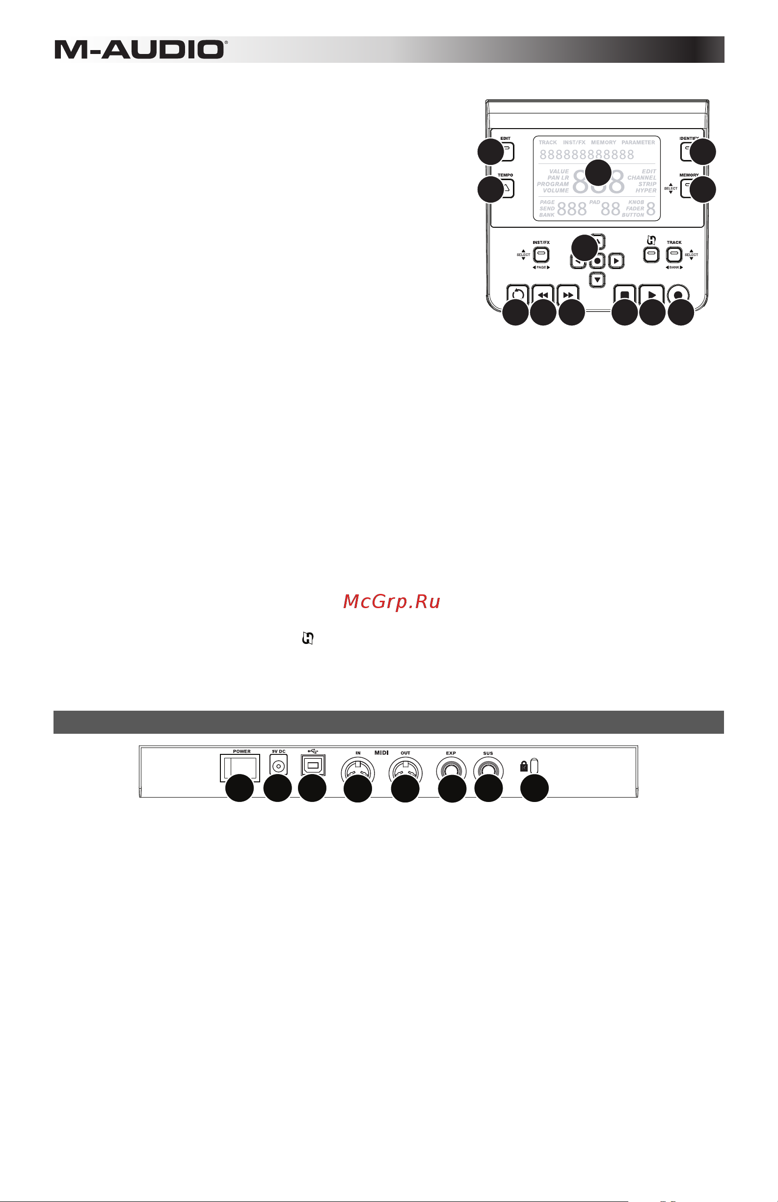 M-Audio Axiom AIR 25 [50/60] Rückseite