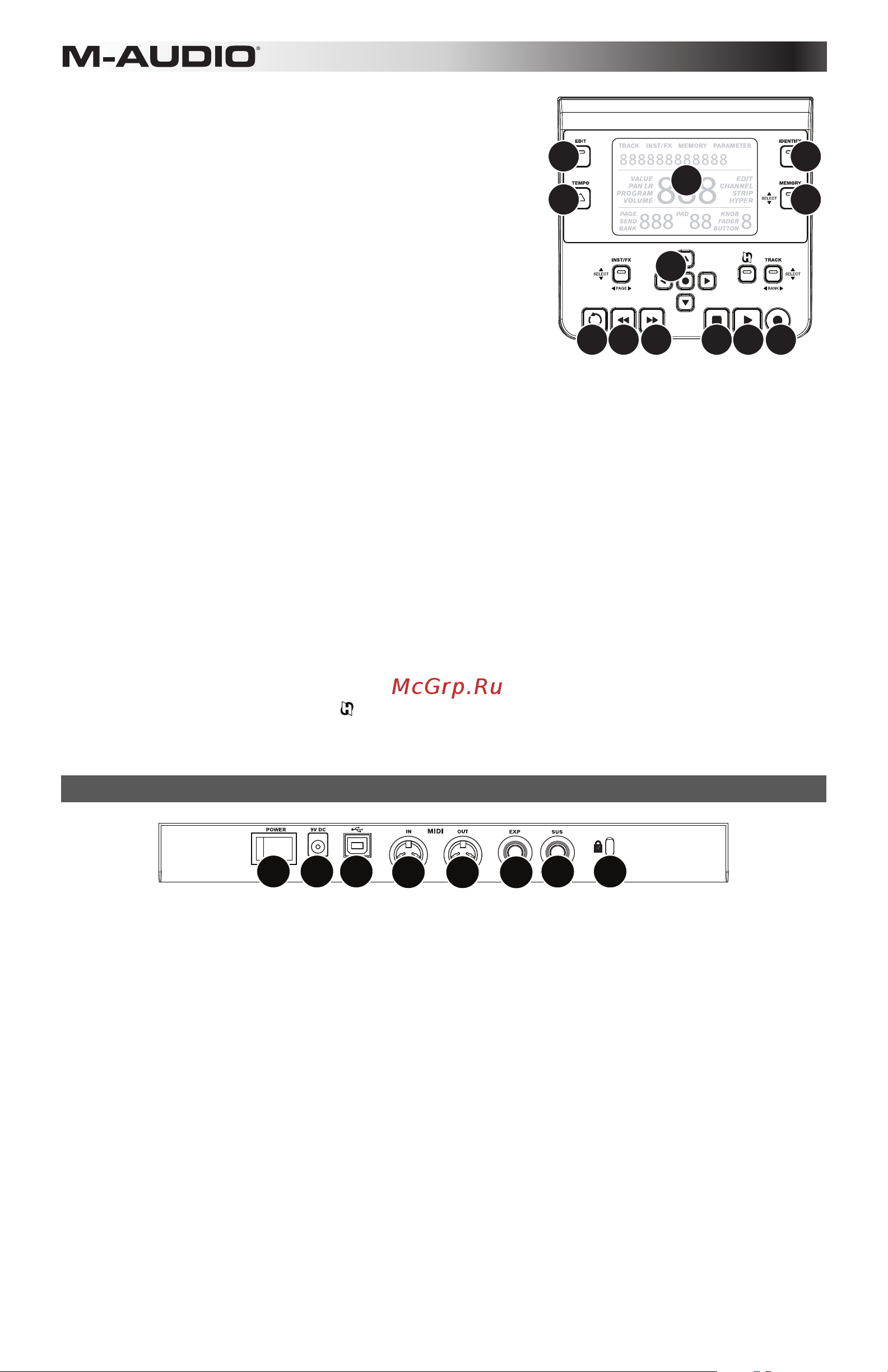 M-Audio Axiom AIR 25 [6/60] Rear panel