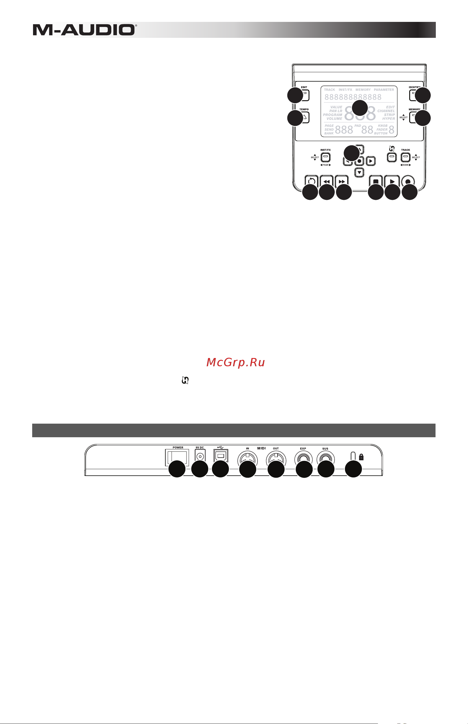 M-Audio Axiom AIR 49 [50/60] 2 3 4 5 6 7 8