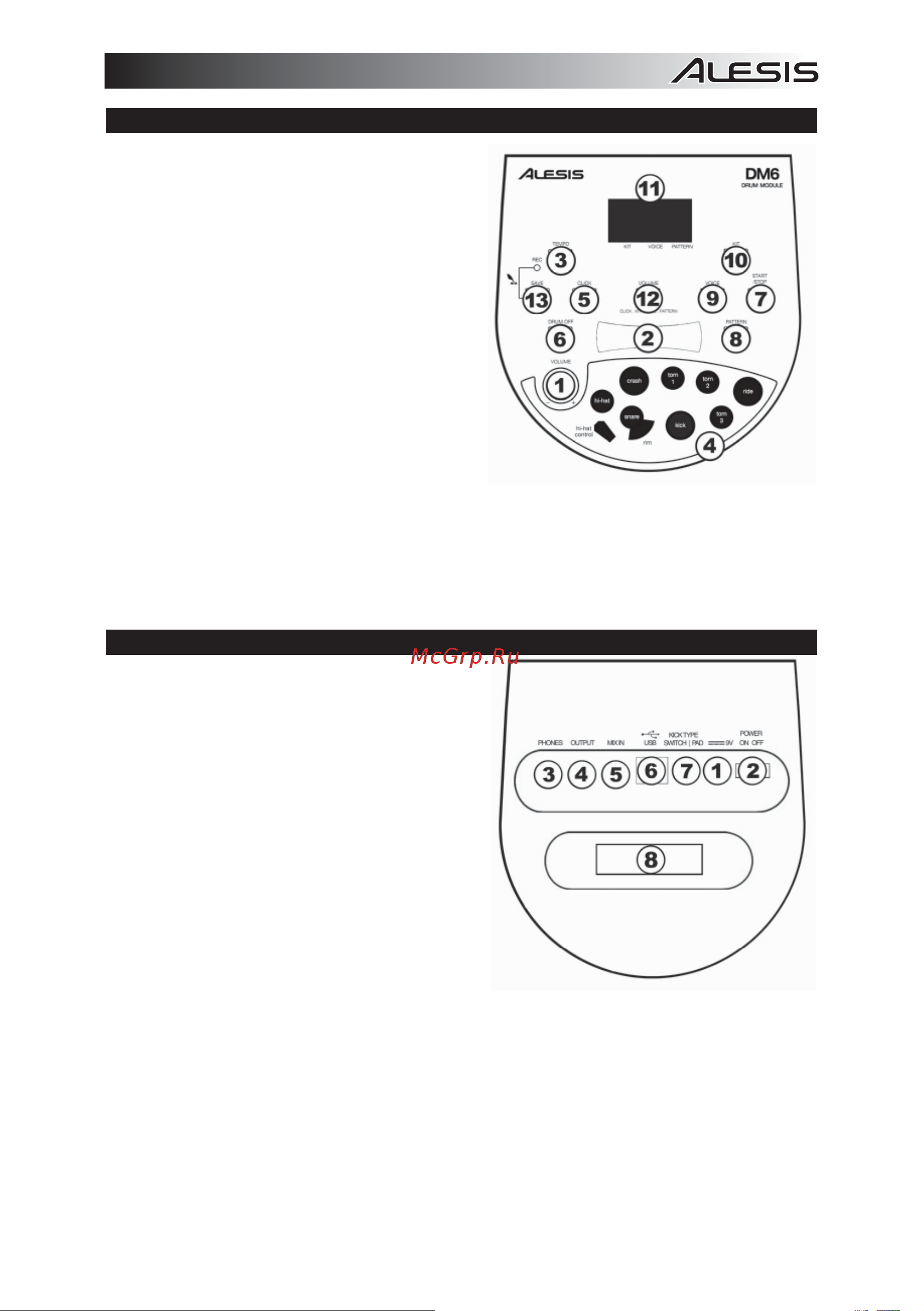 Alesis DM6 USB Kit [3/8] Функции задней панели