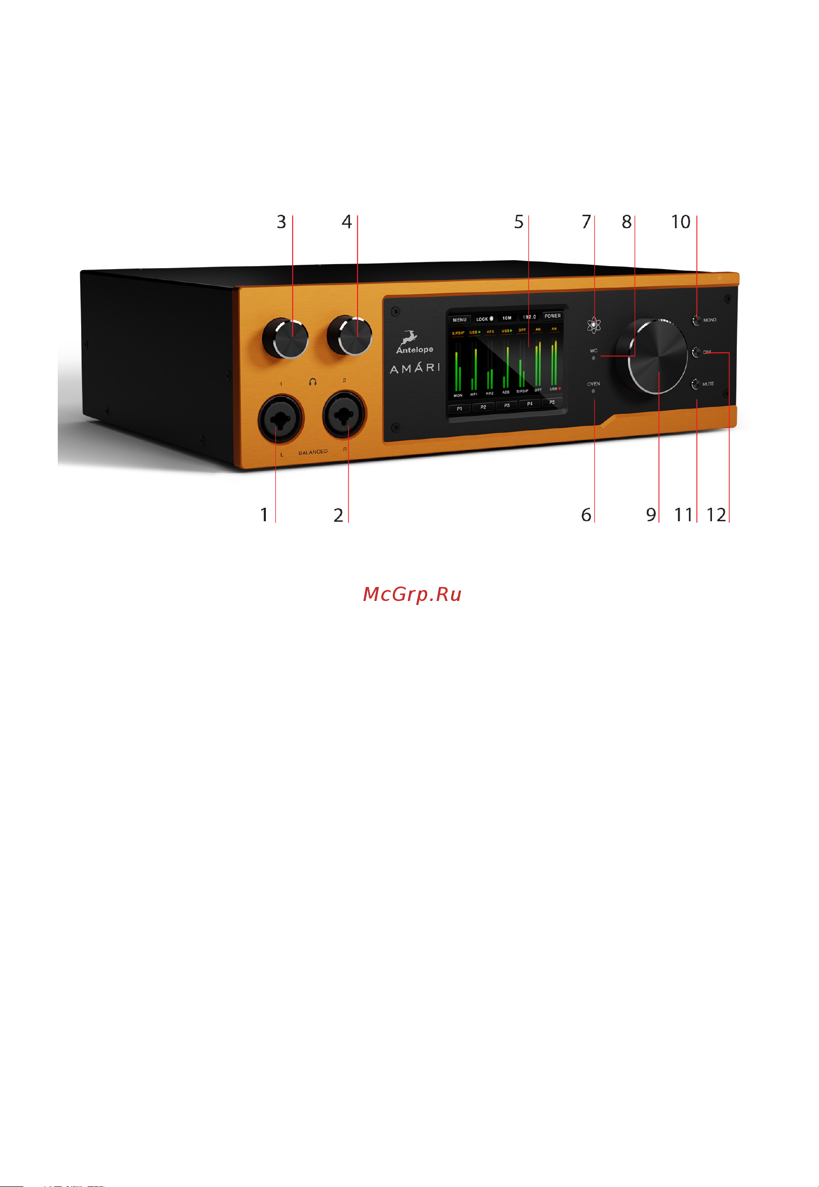 Antelope Audio Amari [5/16] Front rear panels explained