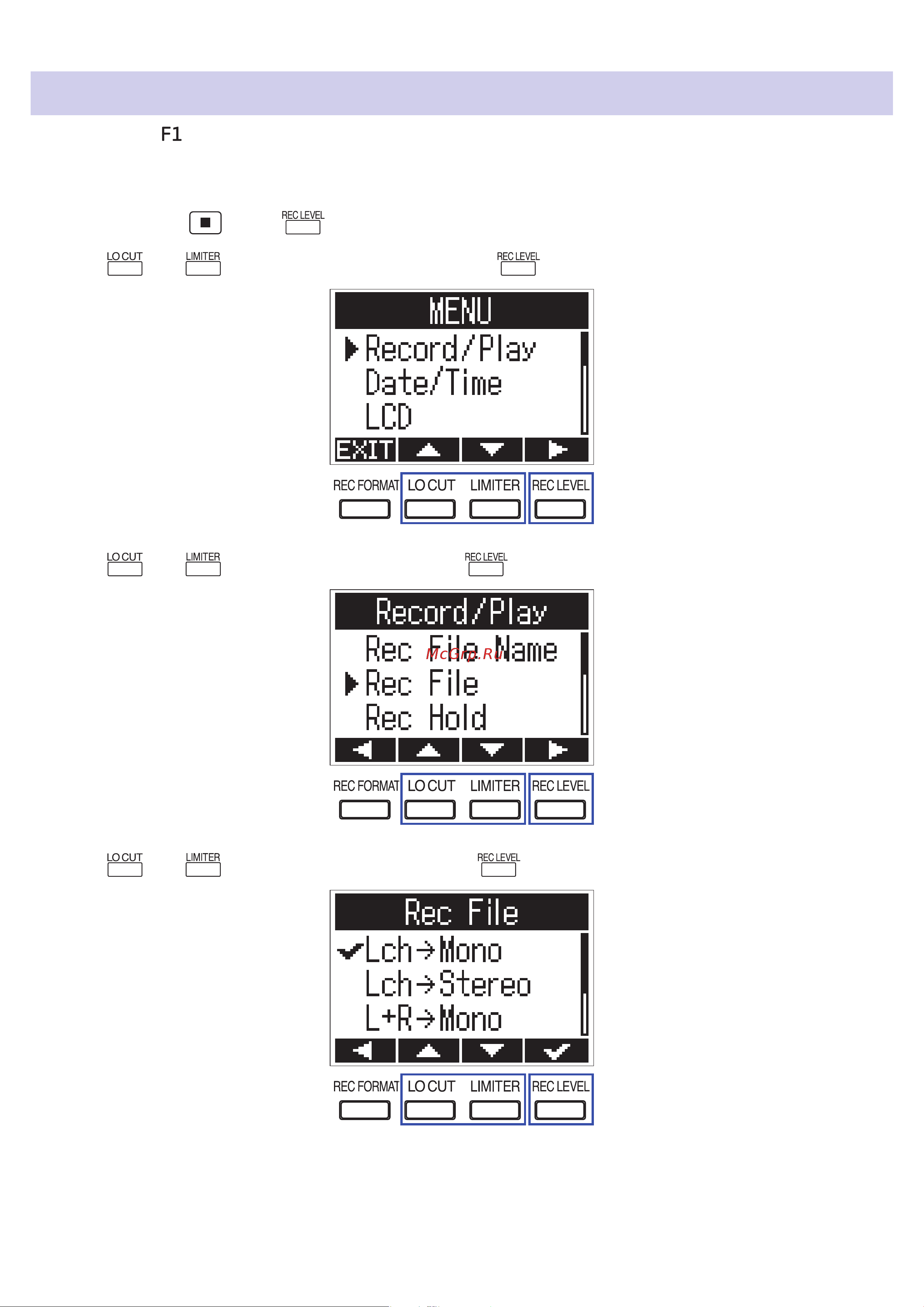 Zoom F1-SP [50/73] Set the recording file type