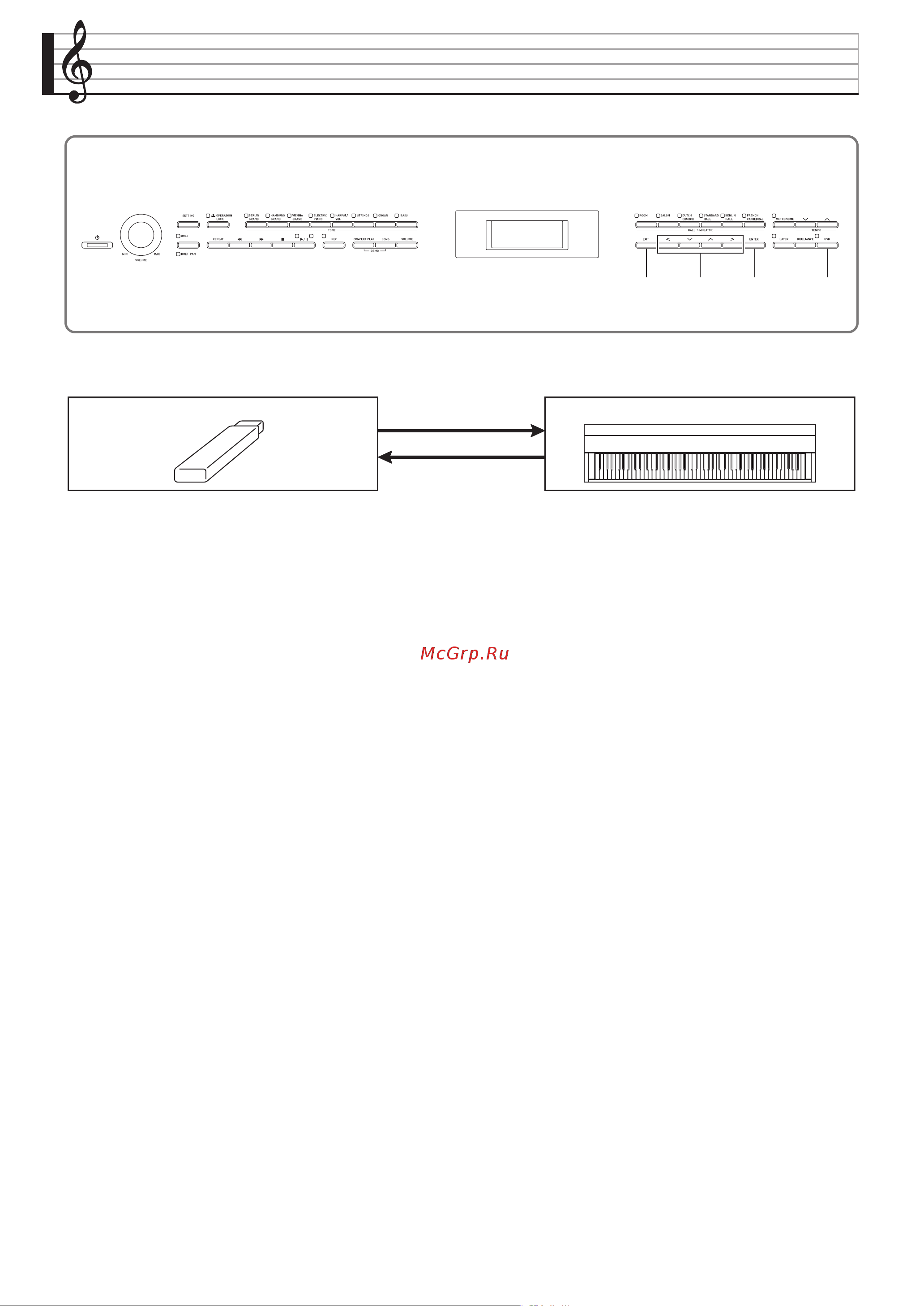 Casio CELVIANO AP-700 [45/76] Флэш накопитель usb