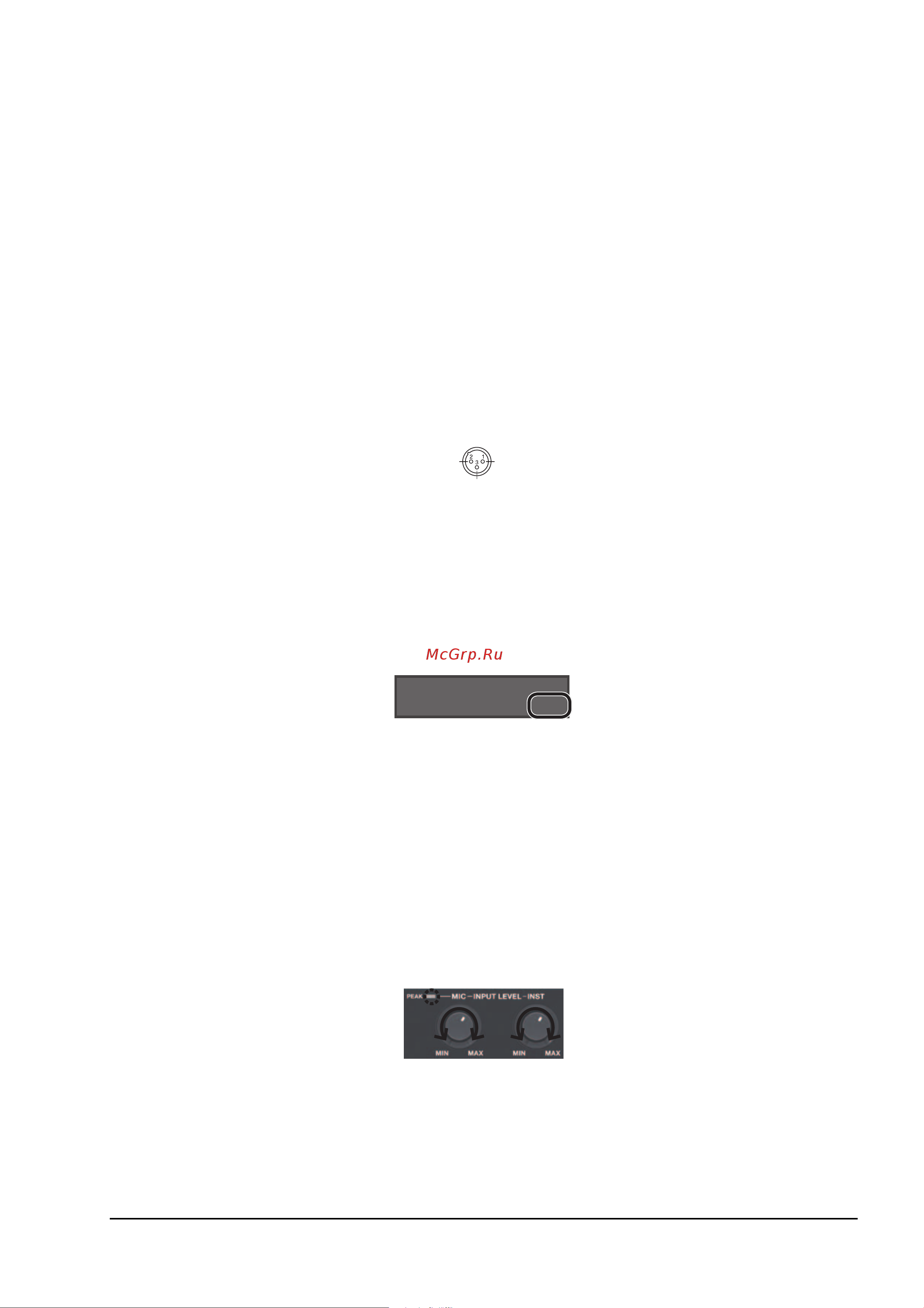 Boss RC-505 [9/49] Разъем input mic