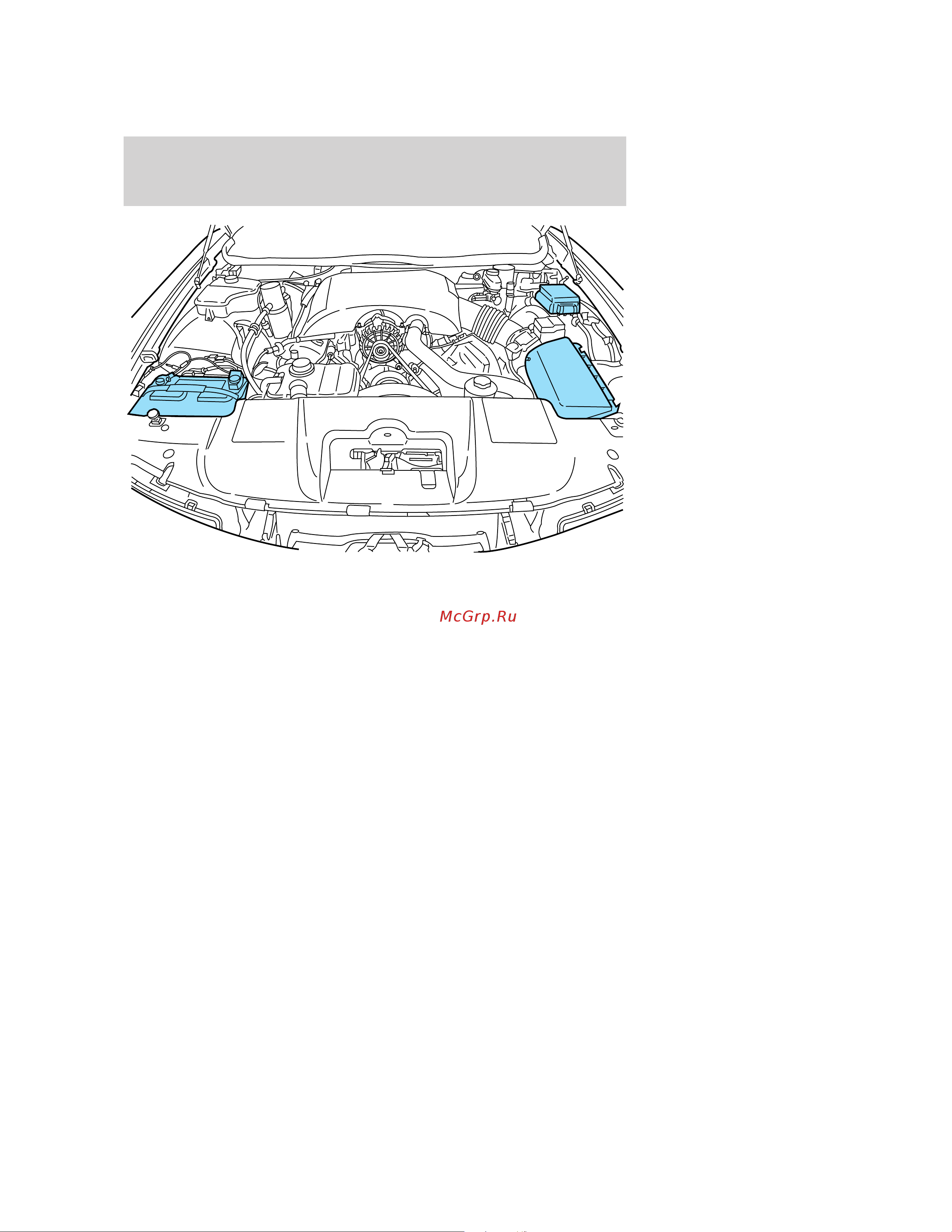Lincoln Town Car (2005) [278/328] Plastic non painted exterior parts