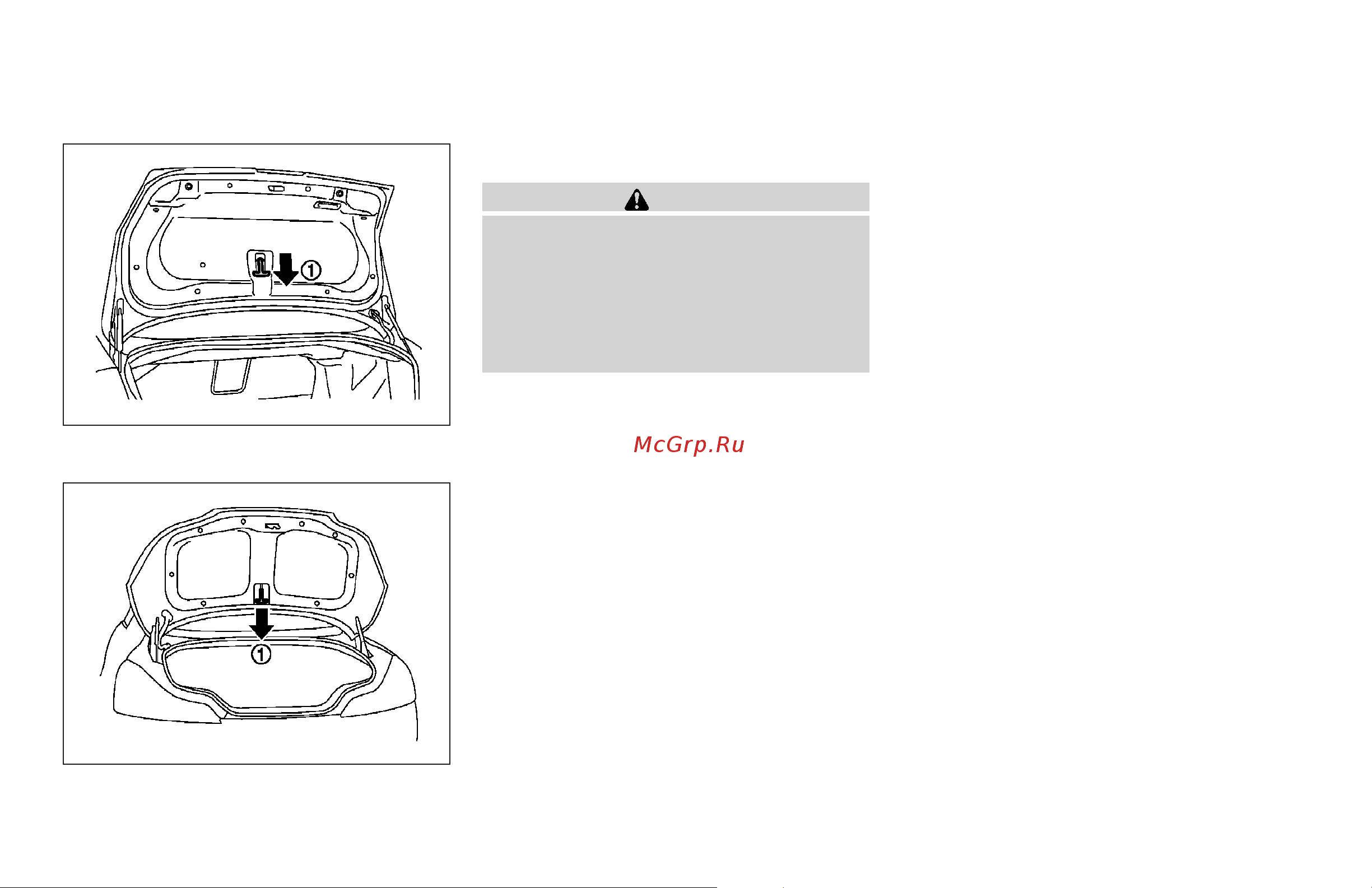 Infiniti G35 Sedan (2008) [154/416] Interior trunk lid release