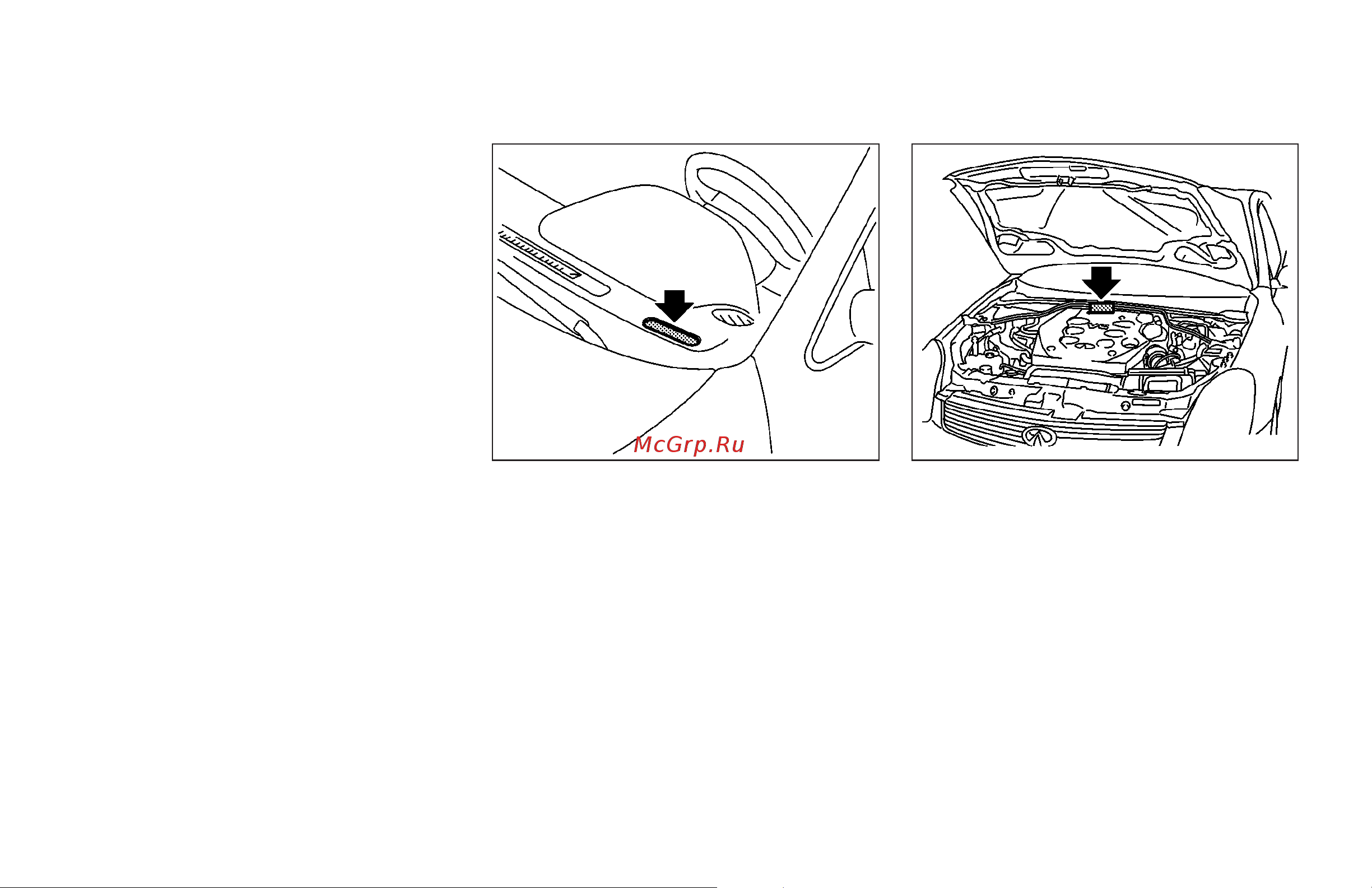 Infiniti G35 Coupe (2006) [316/344] Vehicle identification number chassis number