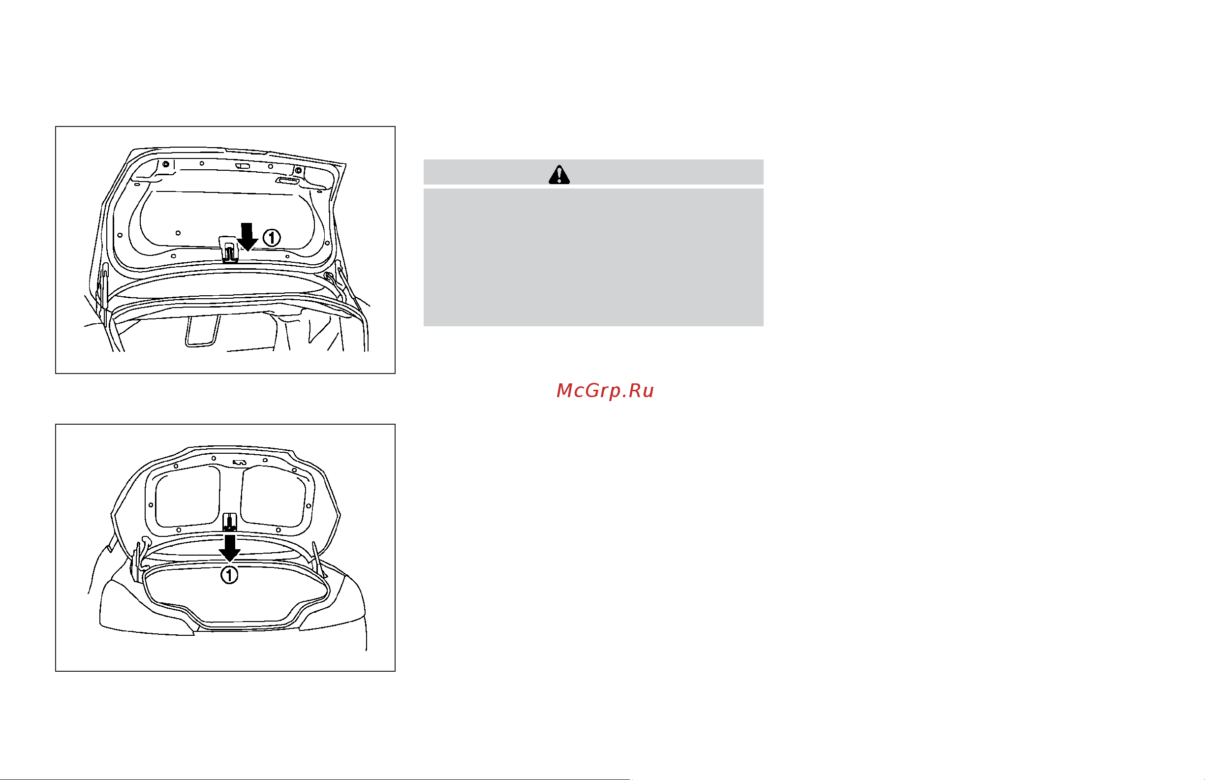 Infiniti G37 Coupe (2009) [152/425] Interior trunk lid release