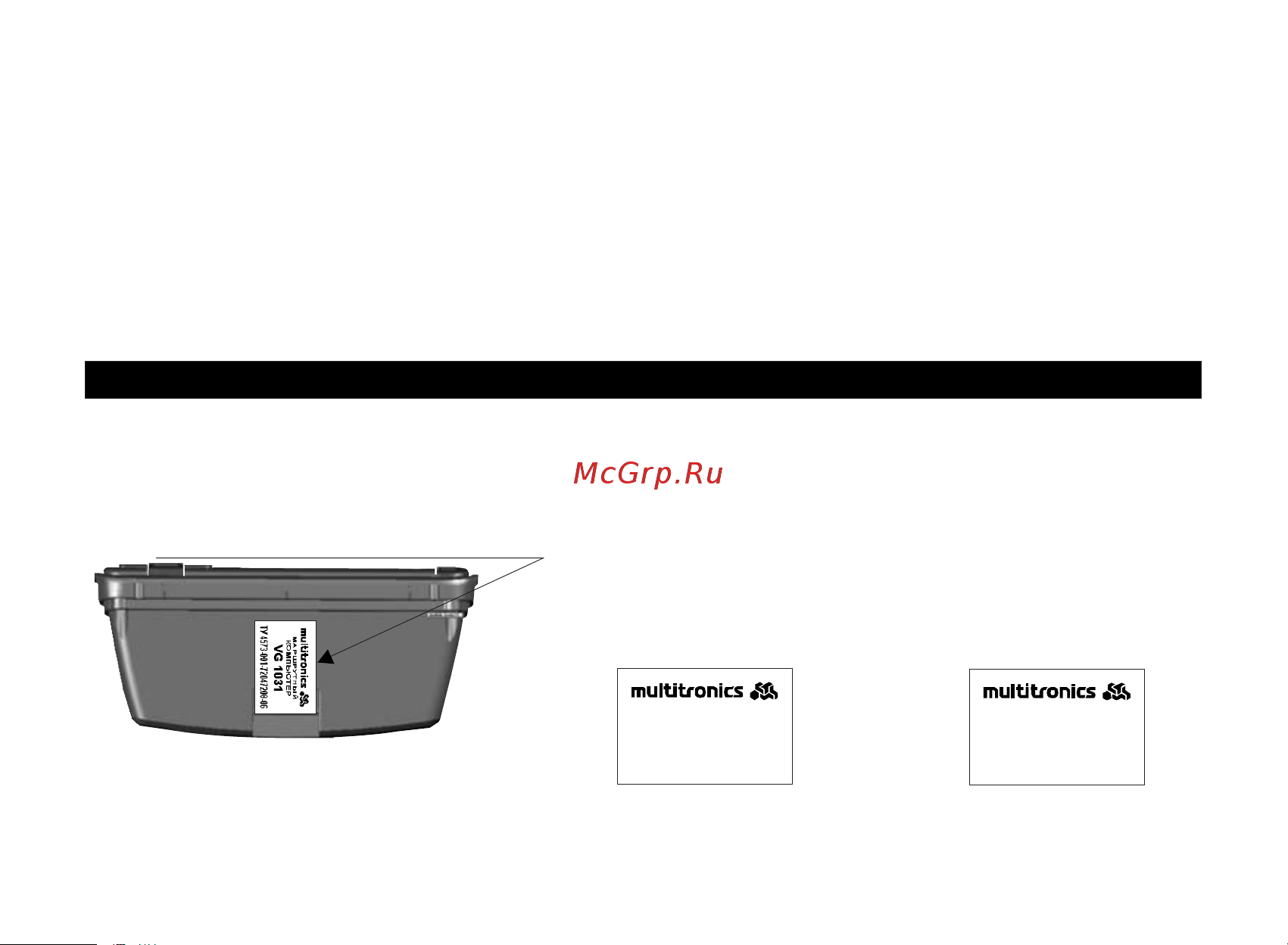 Multitronics VG1031V [91/96] Маркирование ипломбирование
