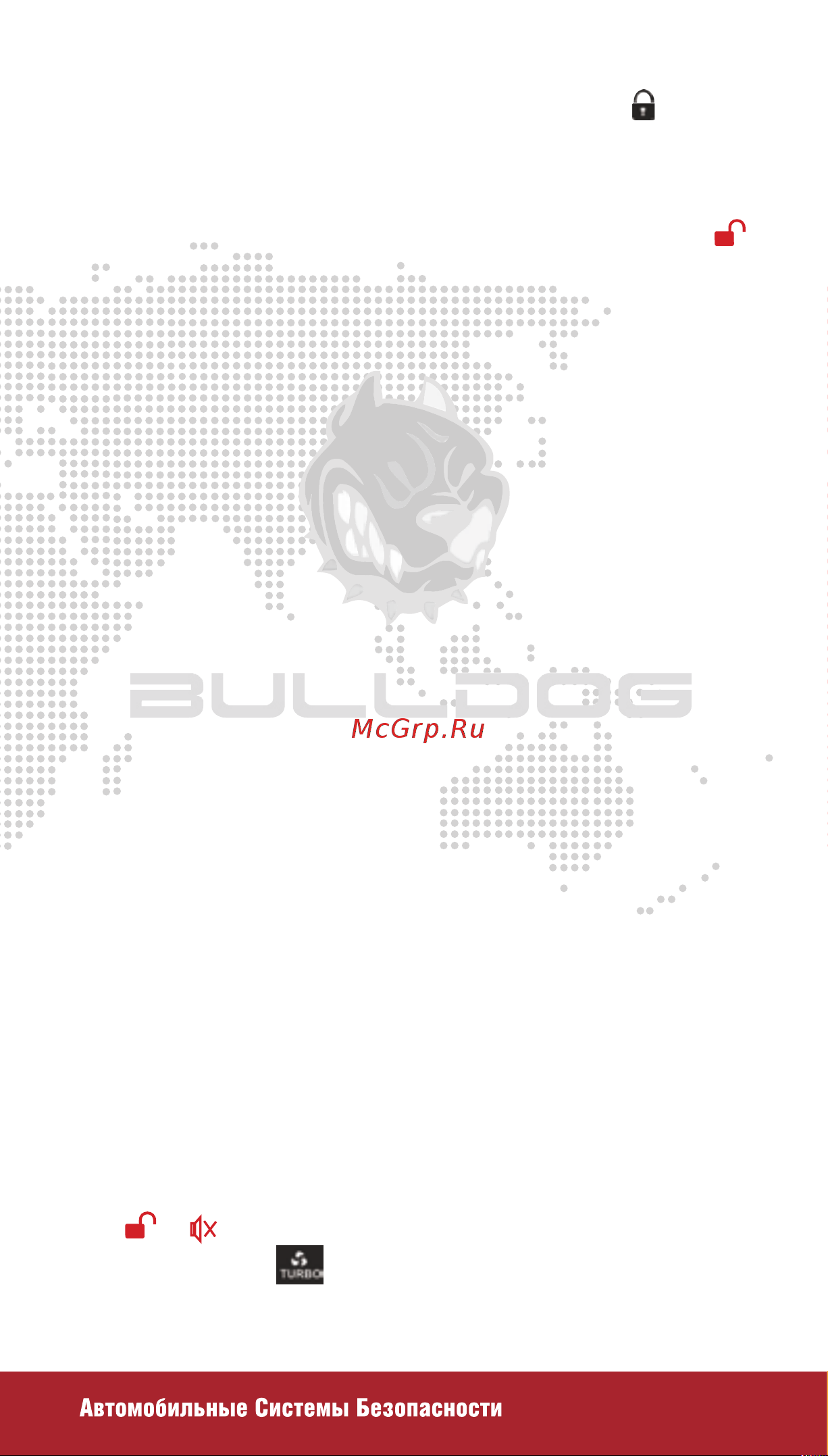 BULLDOG B-22 Satellite [15/32] Сервисные функции