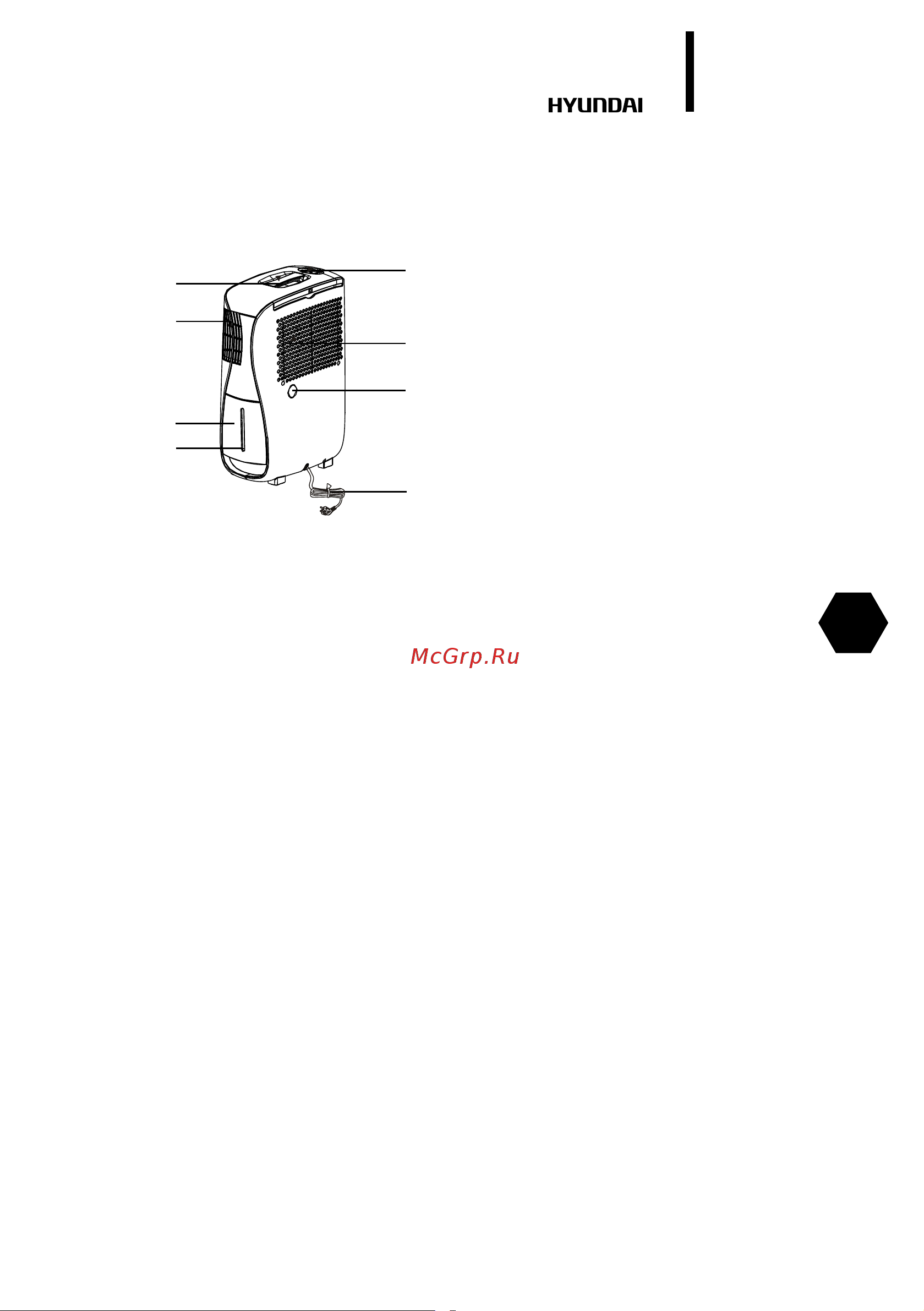Hyundai Home Assistant NX DEH2 [5/44] Appliance description