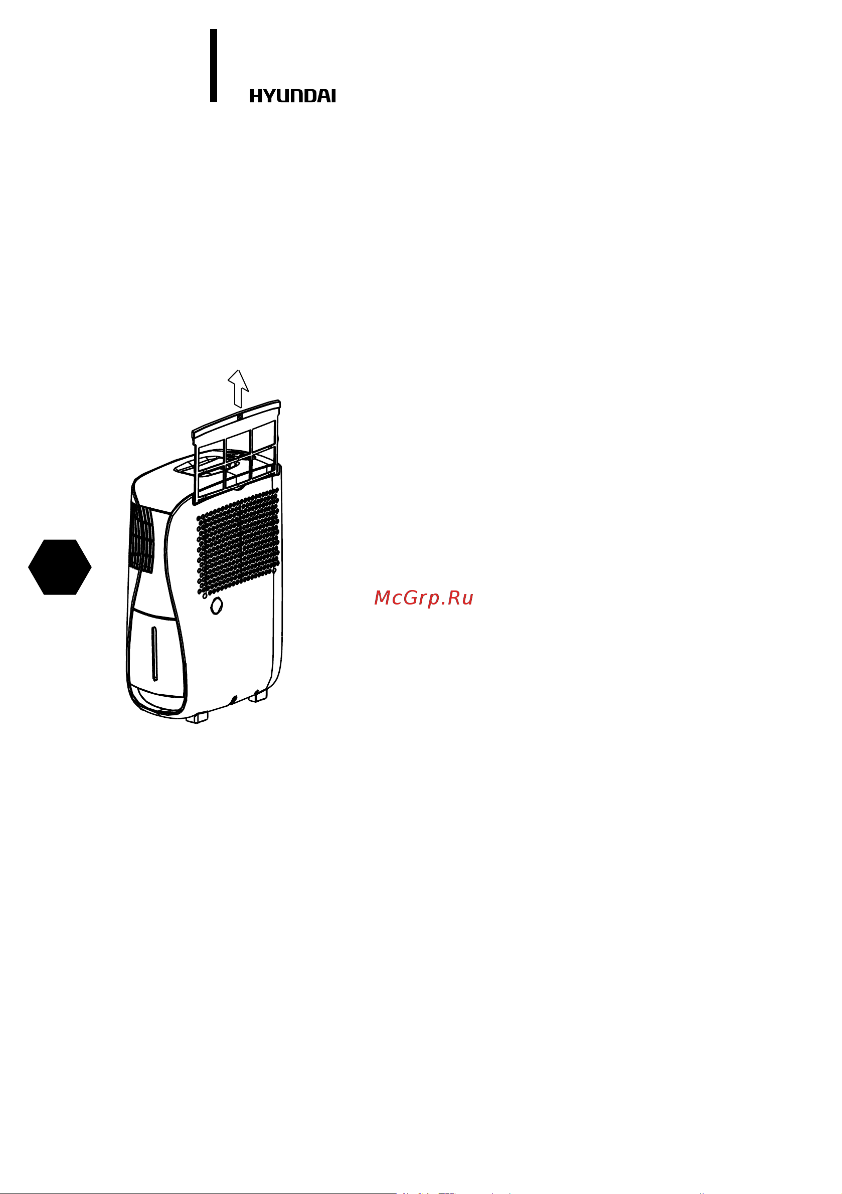 Hyundai Home Assistant NX DEH2 [8/44] Maintenance