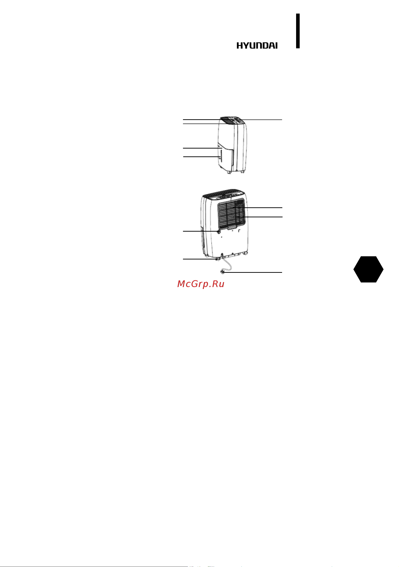 Hyundai Home Assistant TX DEH1 [5/36] Appliance description