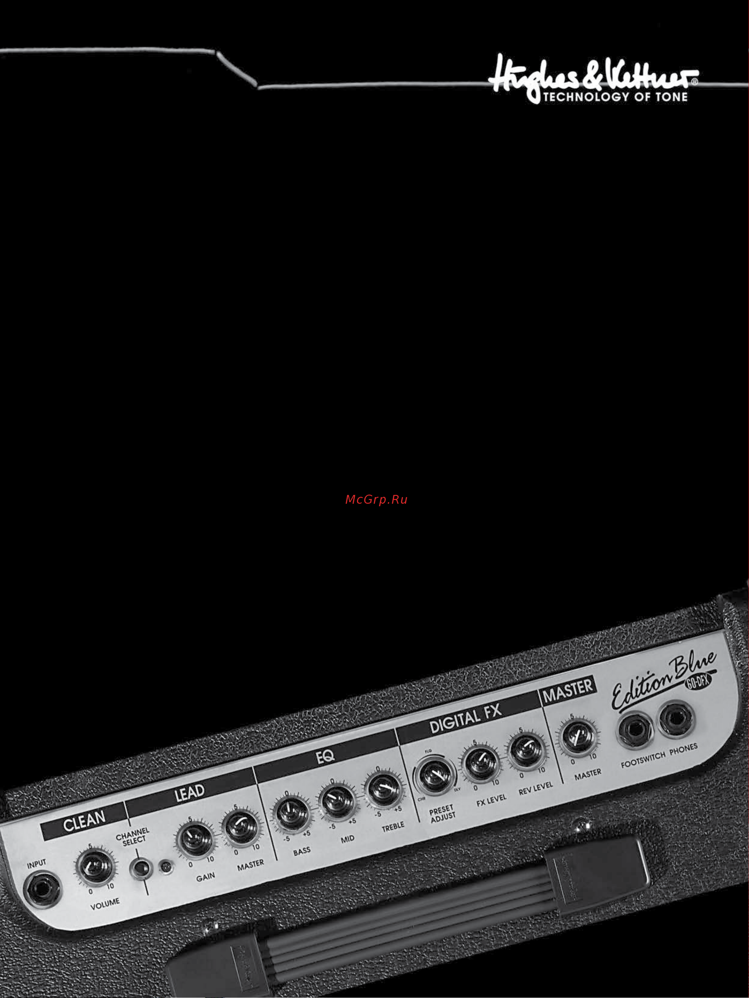 HUGHES & KETTNER EDITION 30 DFX [12/12] Импортер