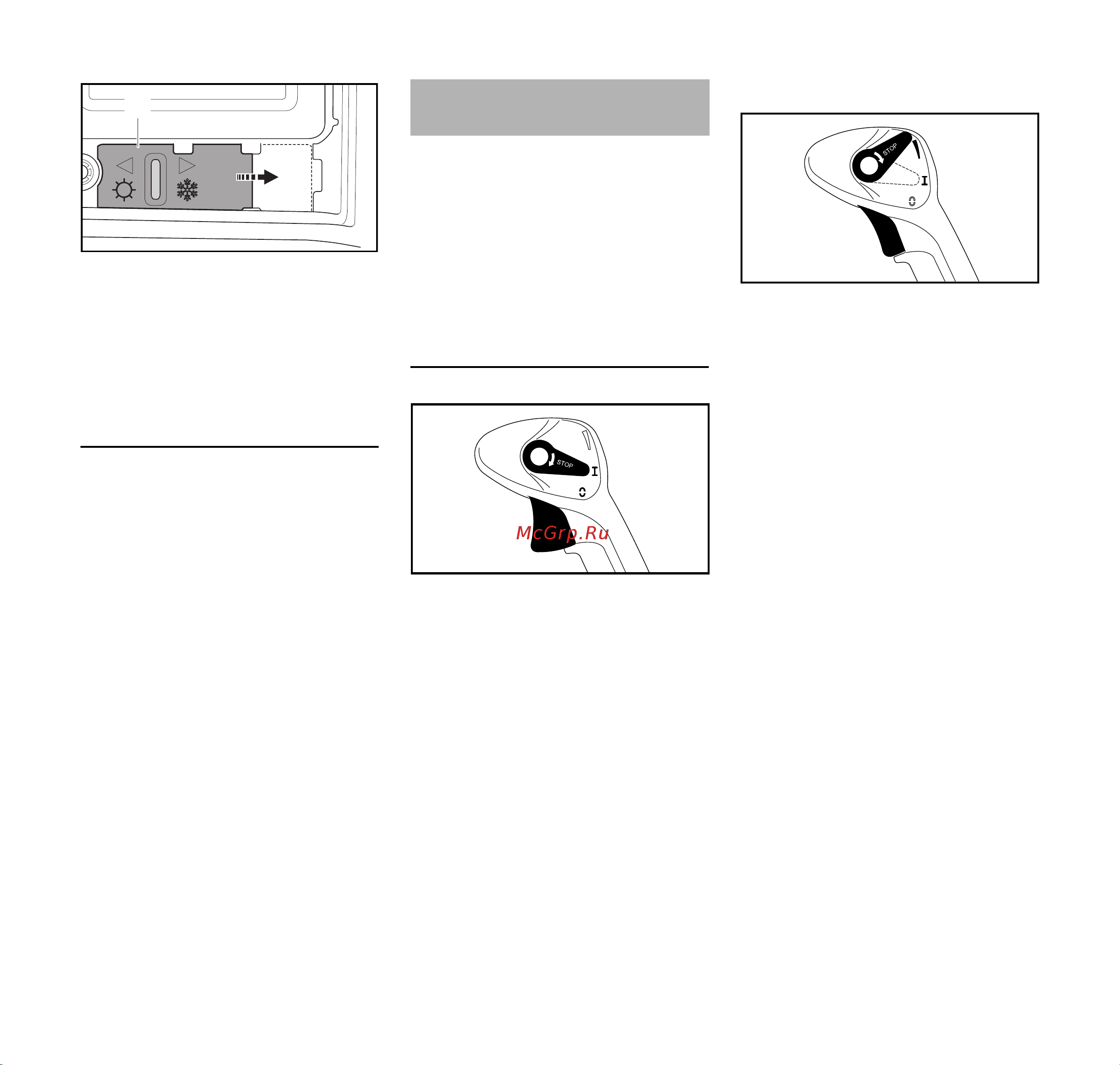 Stihl BR 800 [20/80] Information before you start