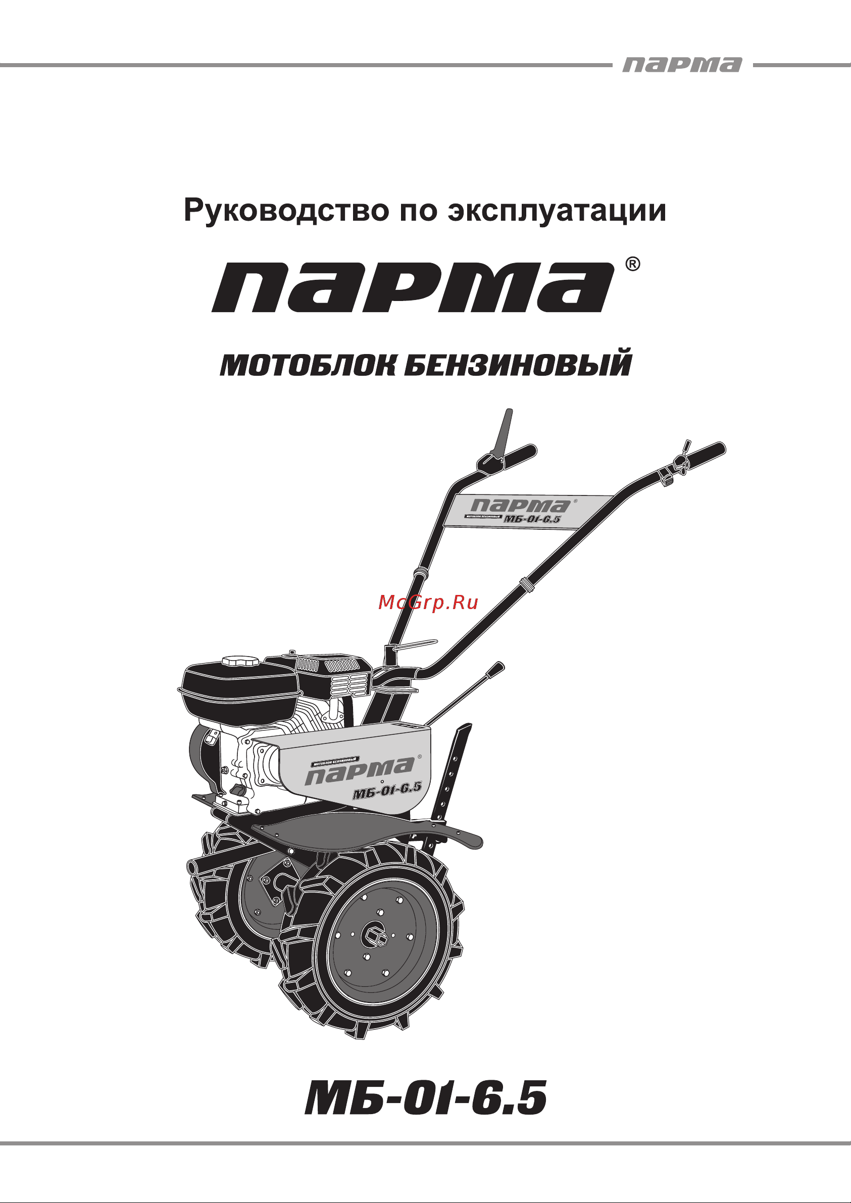 ООО УРАЛОПТИНСТРУМЕНТ ПАРМА БТ-01-6.5 Руководство по эксплуатации онлайн