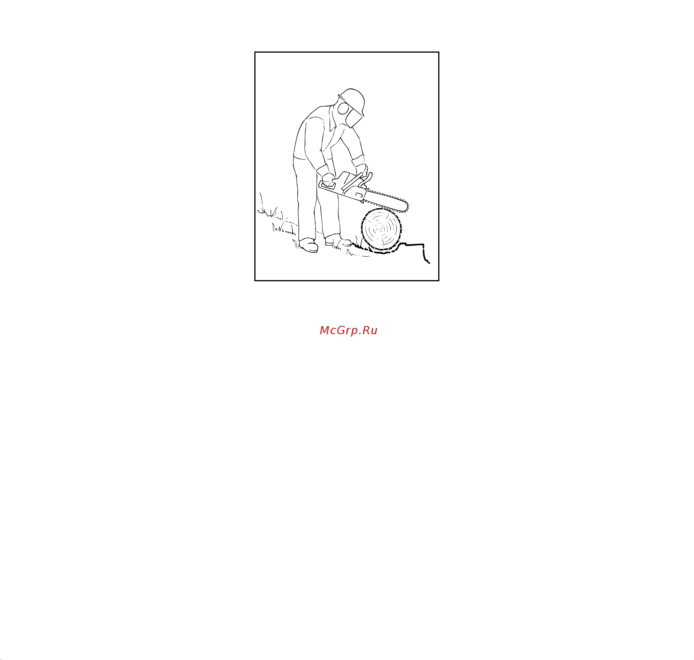 Stihl MSE 170 C-BQ 14 Руководство по эксплуатации онлайн [13/56] 779450