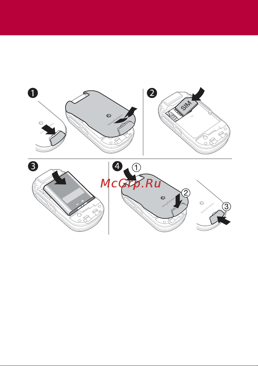 Sony Sony Ericsson Z320 [3/42] Подготовка телефона