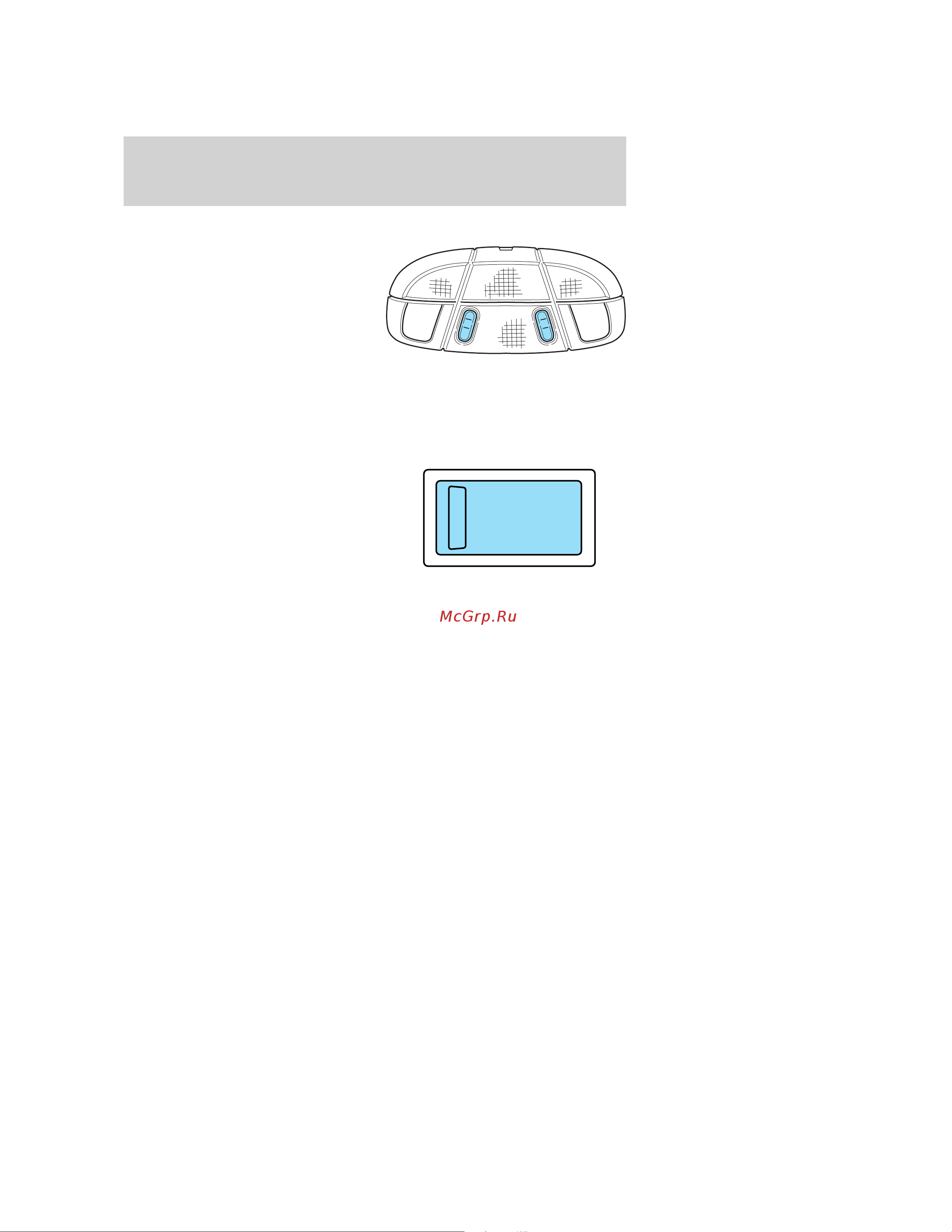 Lincoln MKX (2009) [42/307] Map dome lamp if equipped