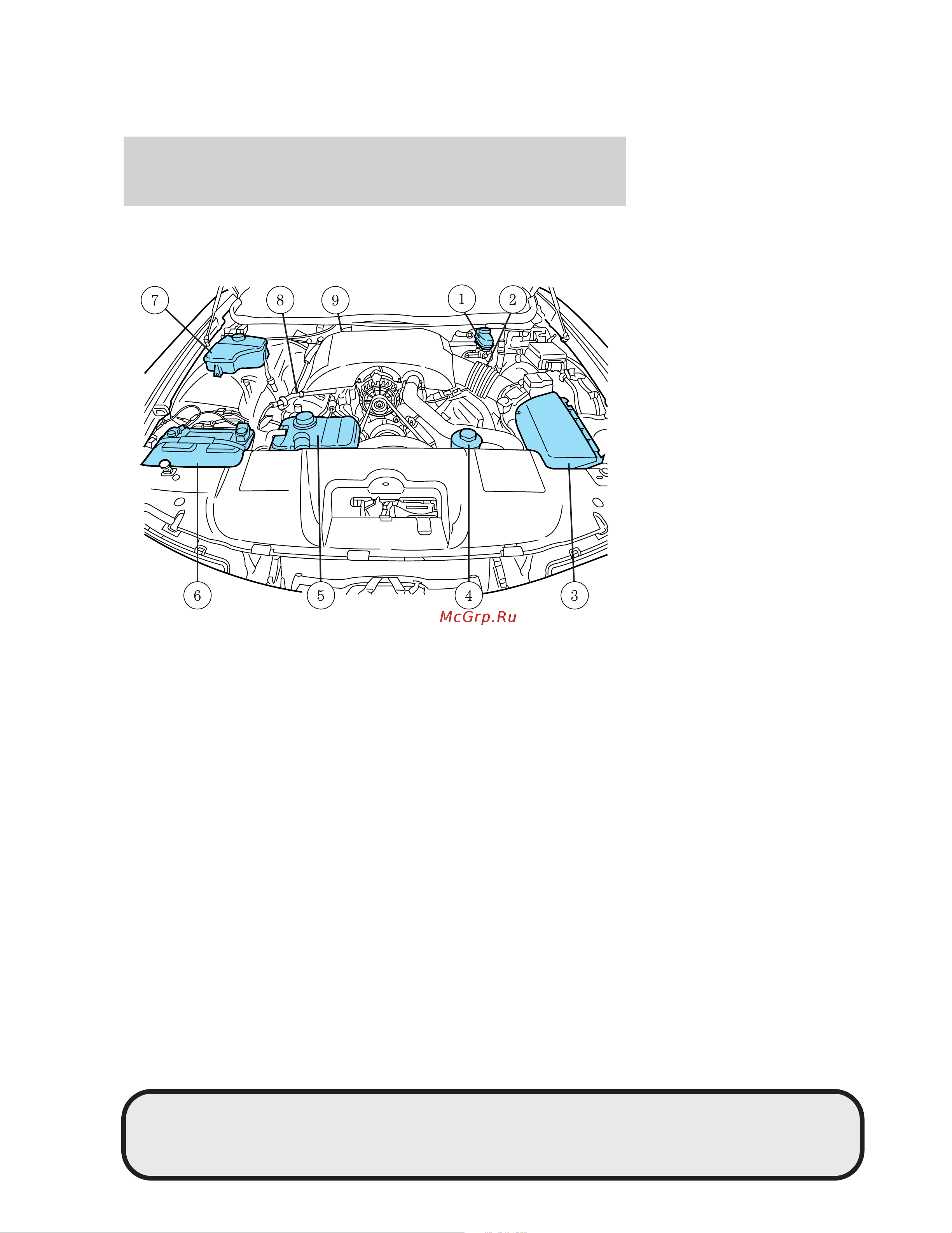 Lincoln Town Car (2004) [245/304] Maintenance and specifications