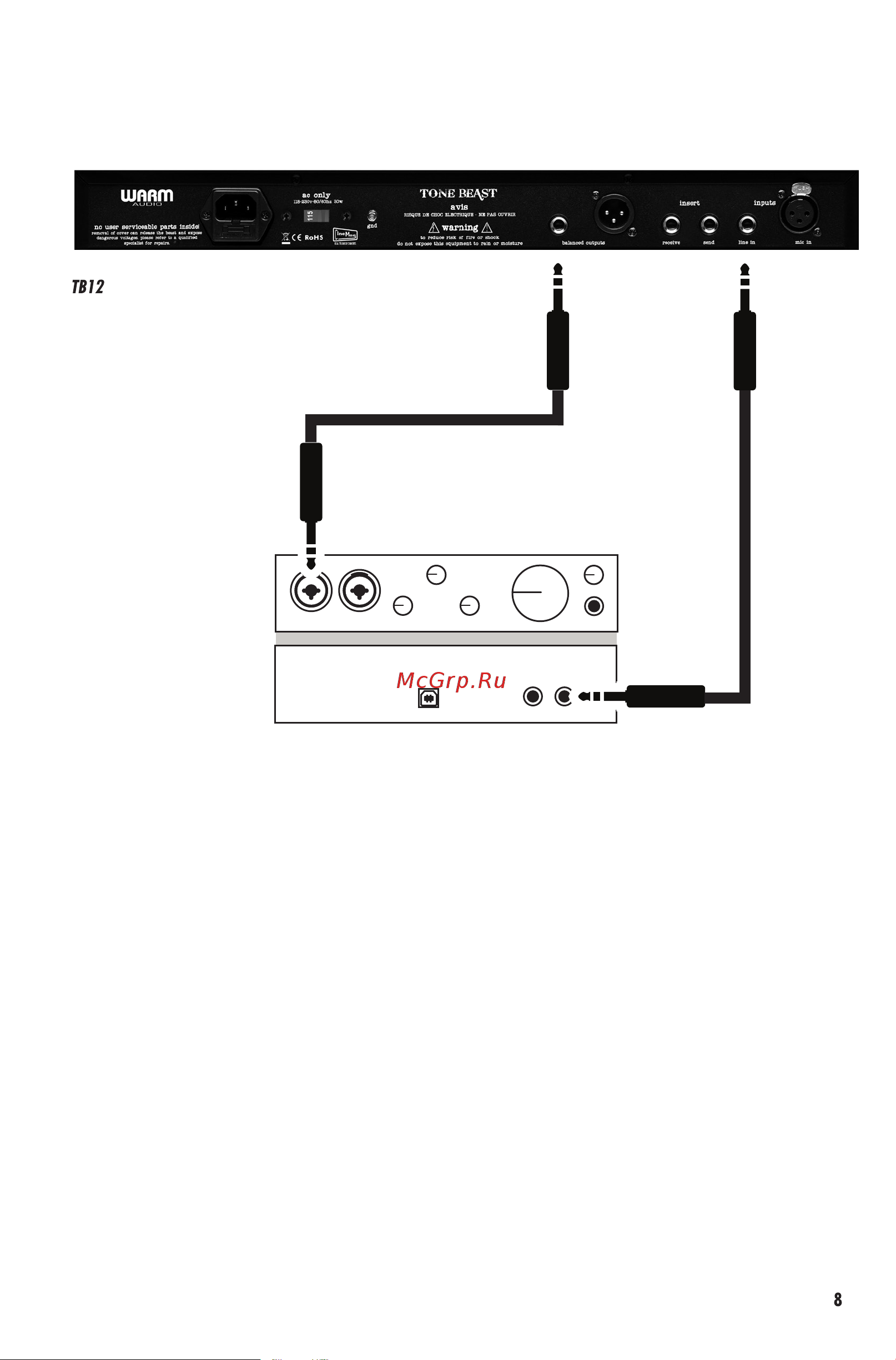 WARM AUDIO TB12 Tone Beast [9/12] Диаграмма подключения