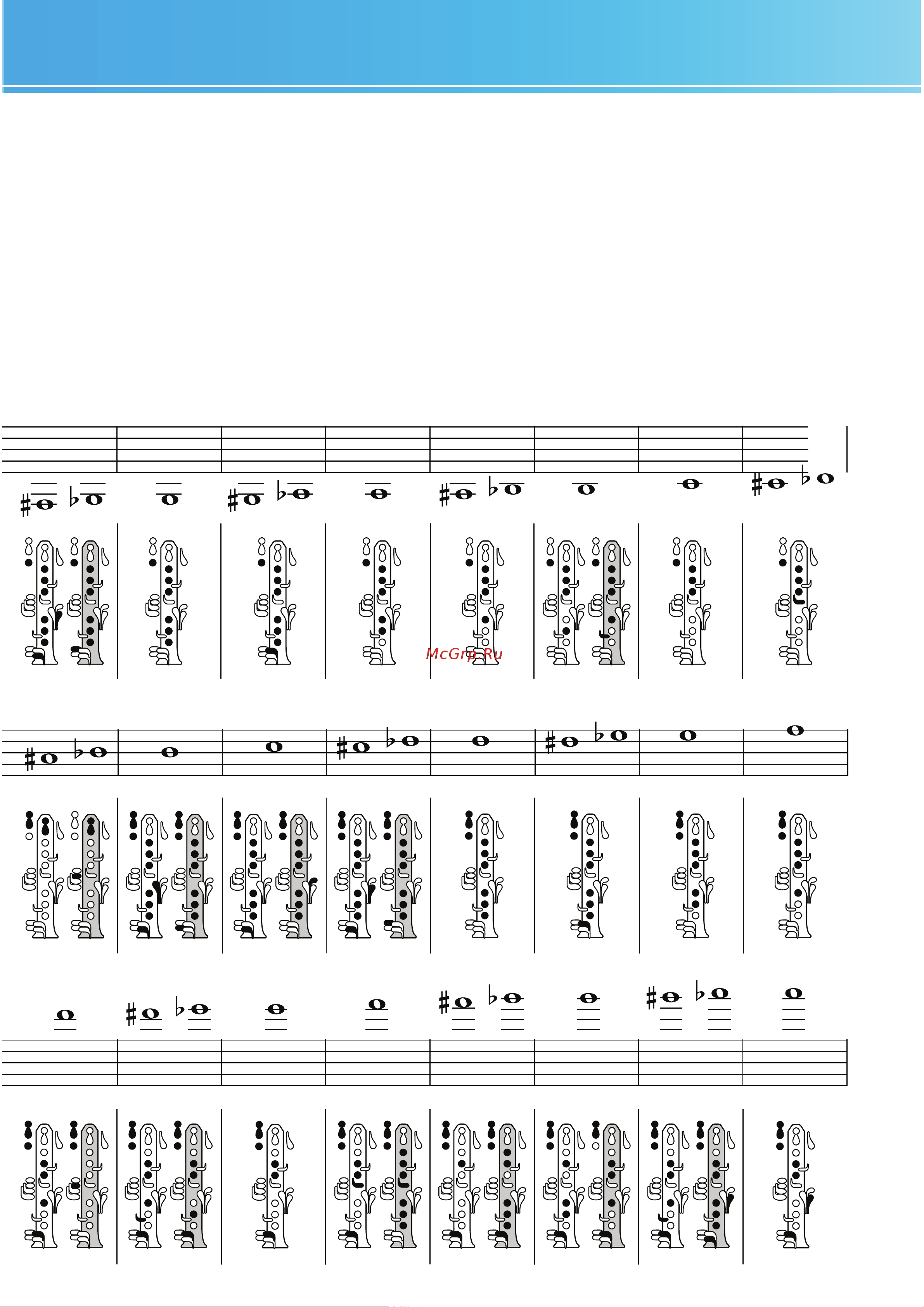 Yamaha YCL-221(II) [13/14] Таблица аппликатуры