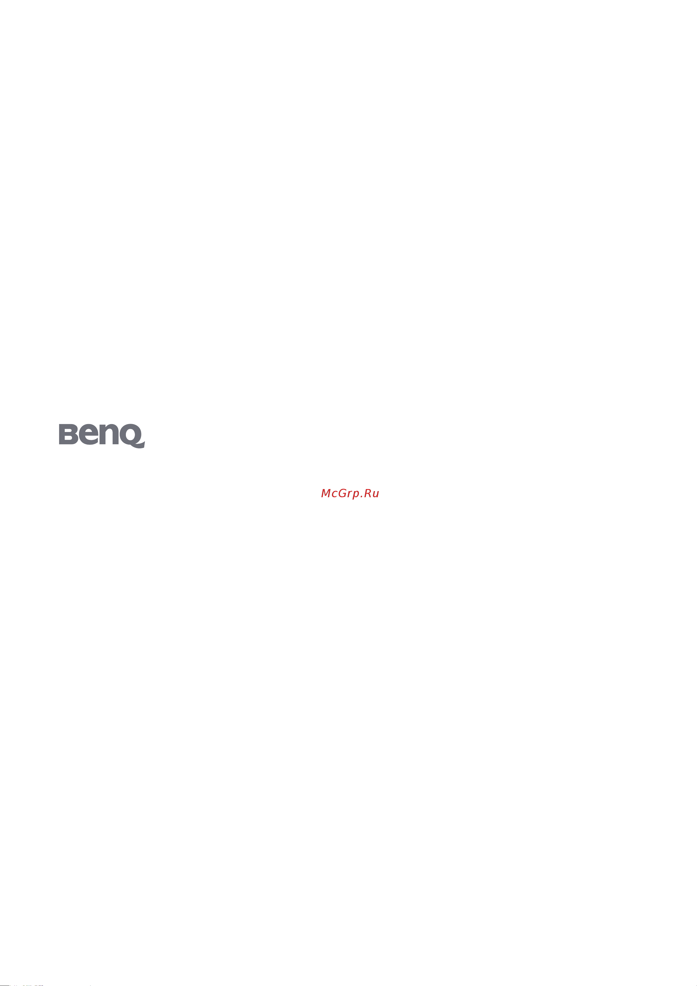 Benq FP222W a Руководство по эксплуатации онлайн