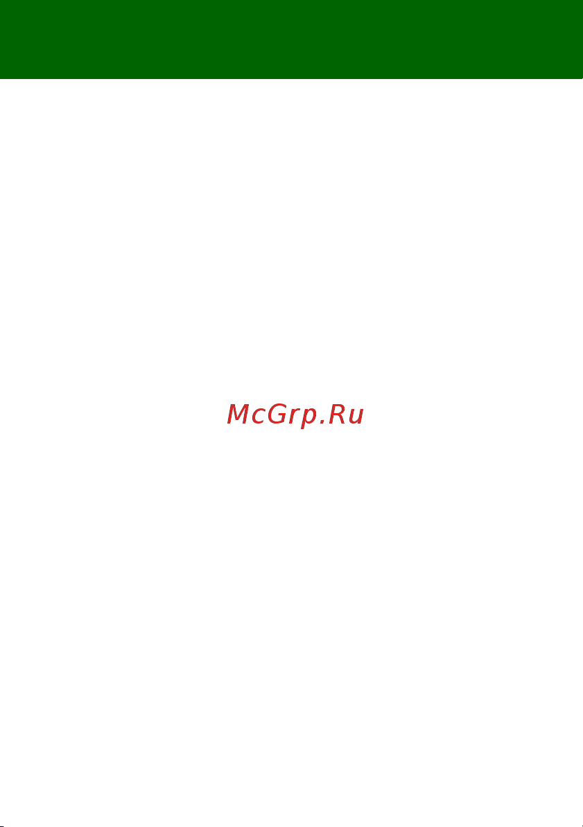 SONY-ERICSSON Sony Ericsson R306i Radio [39/42] Industry canada statement