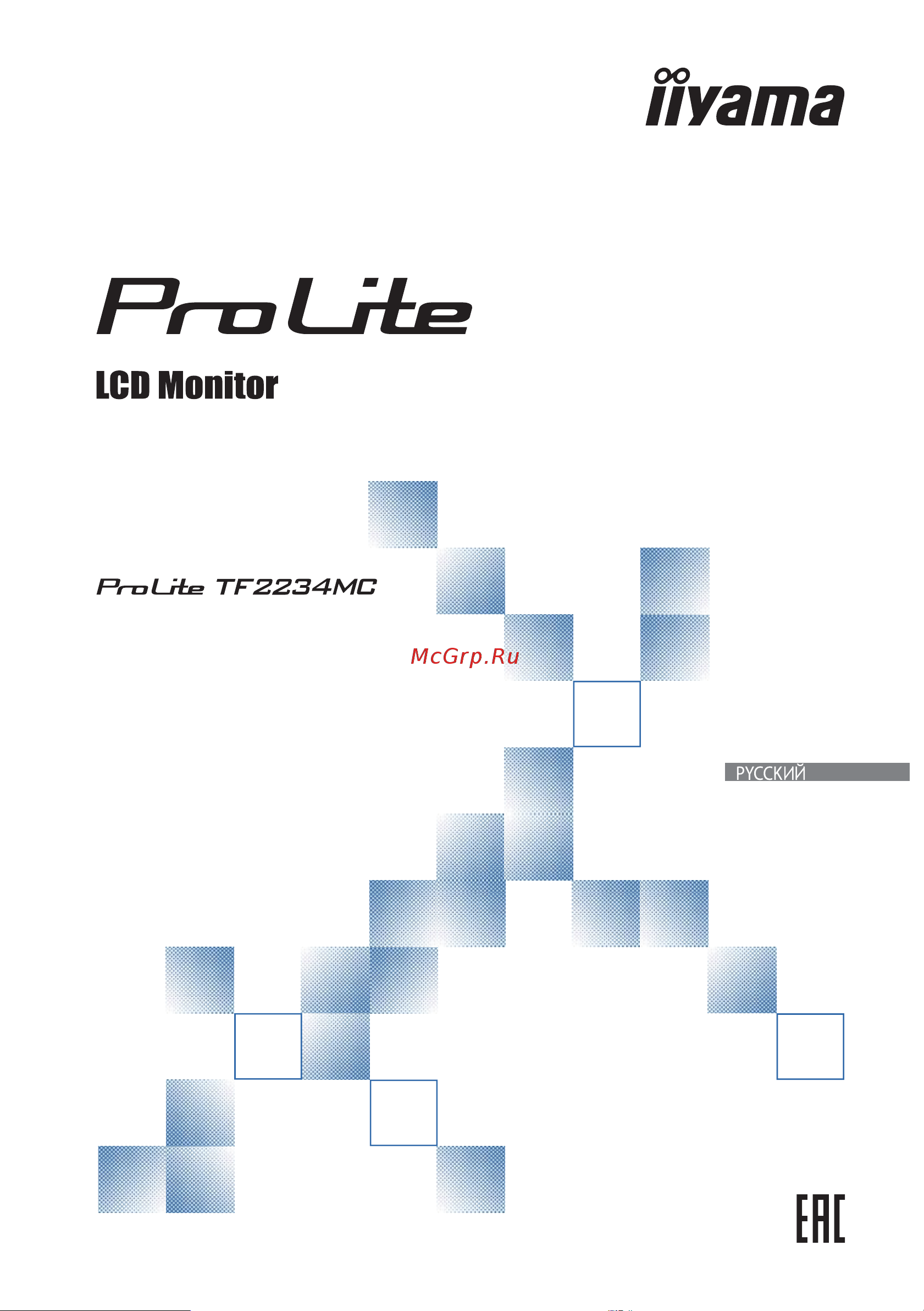 Iiyama ProLite TF2234MC-B5AGB Руководство по эксплуатации онлайн