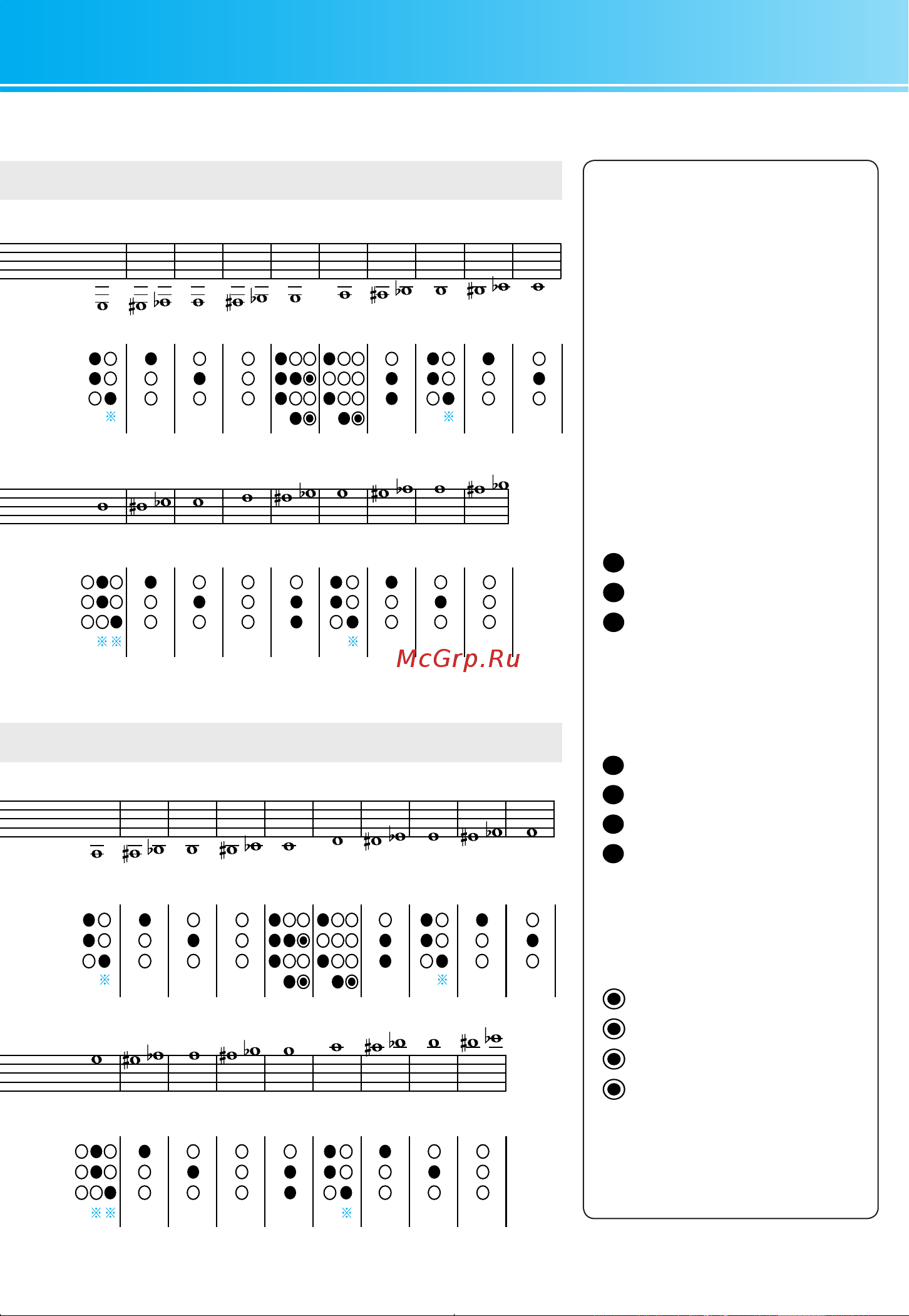 Yamaha YFB-621 [21/23] フィンガリングチャート fingering chart grifftabelle