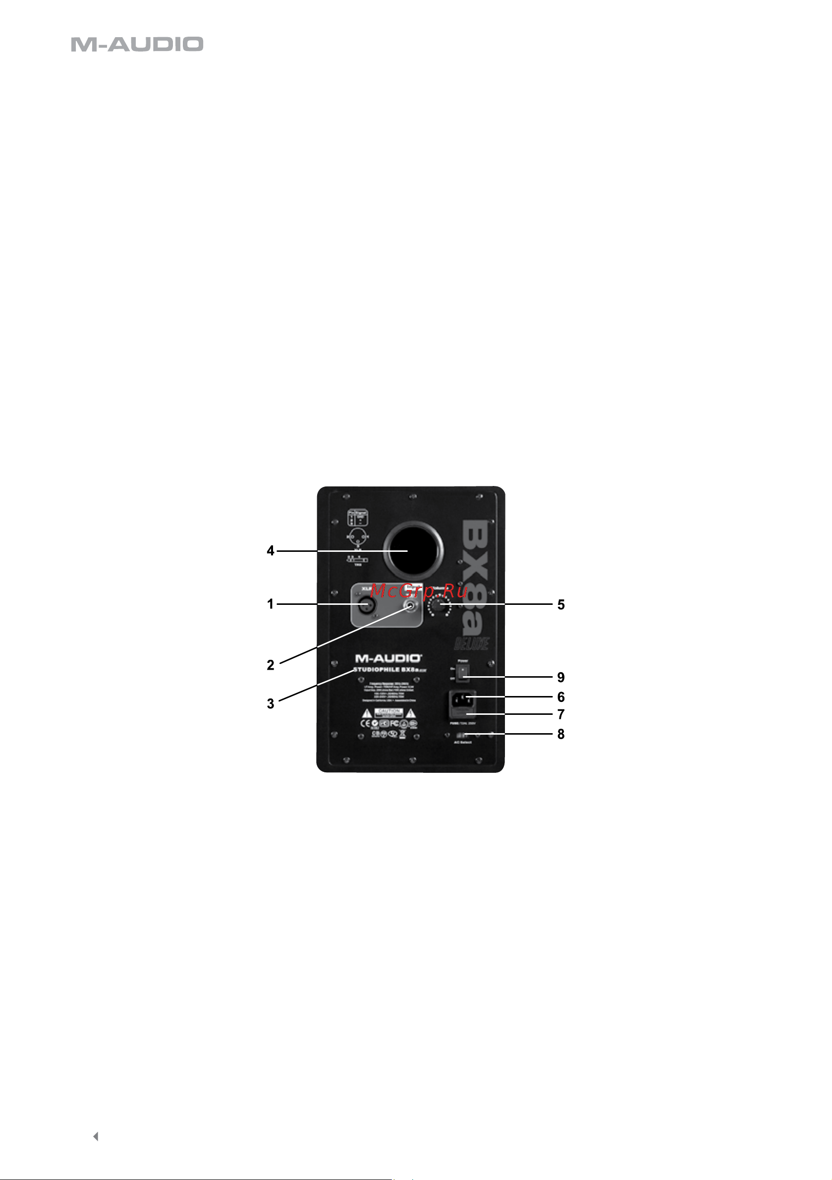 M-Audio Studiophile BX8a Deluxe [3/8] Front and rear panel features