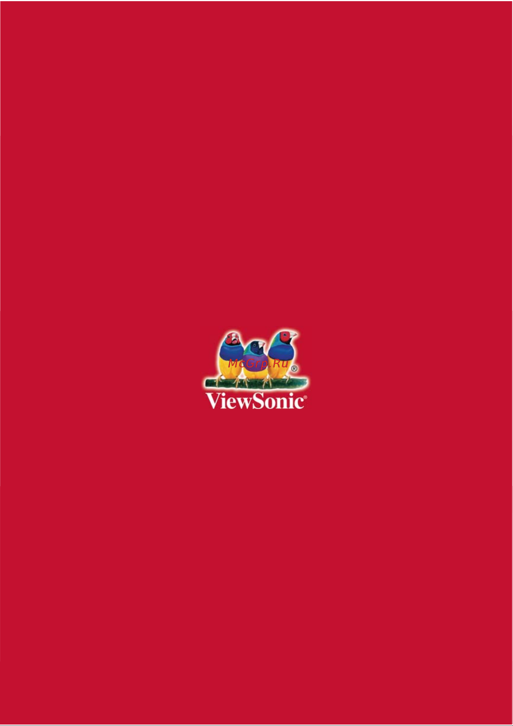 Viewsonic VA1921a Руководство по эксплуатации онлайн [100/100] 782936