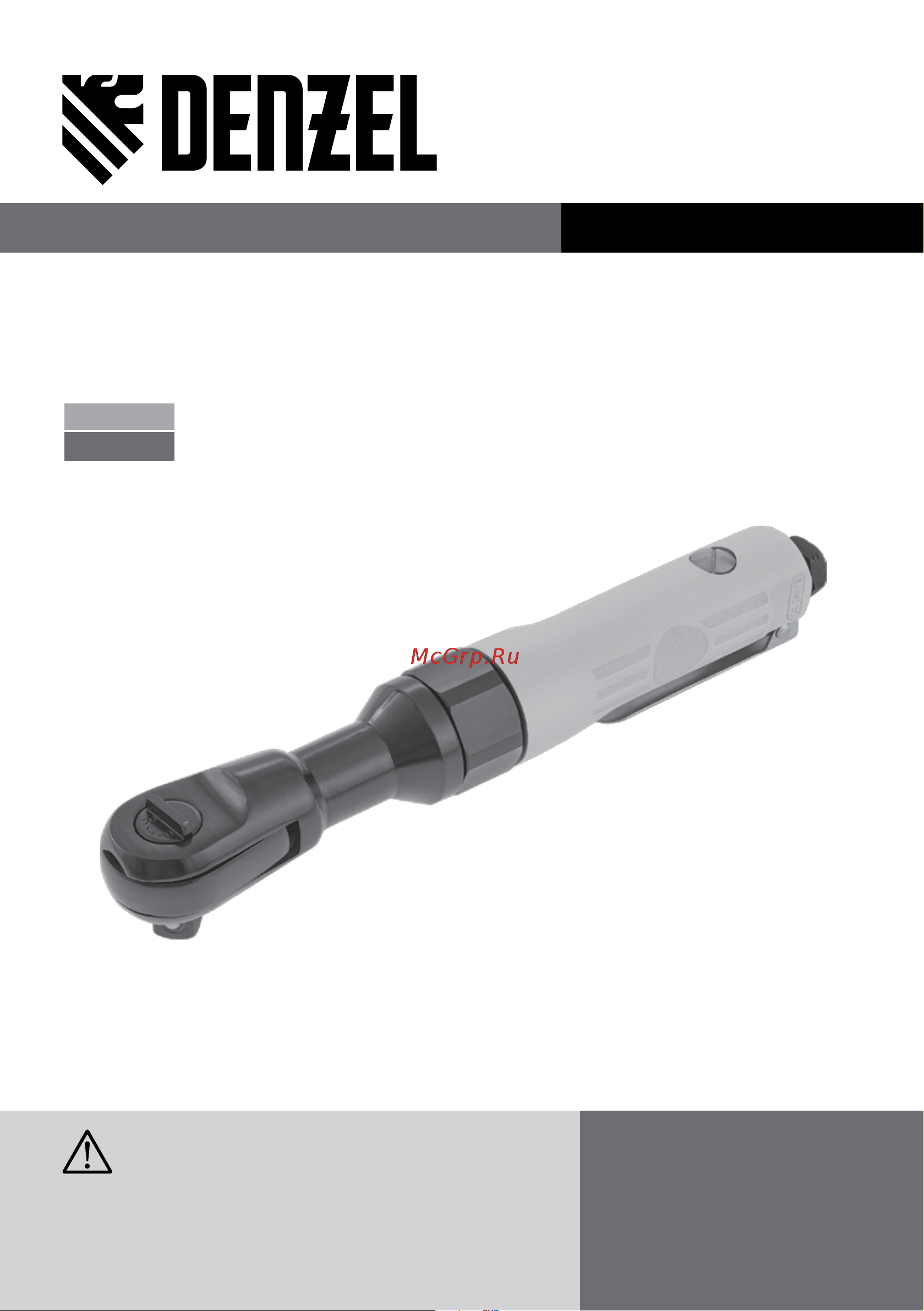 Denzel RP100 (57475) Инструкция по эксплуатации онлайн
