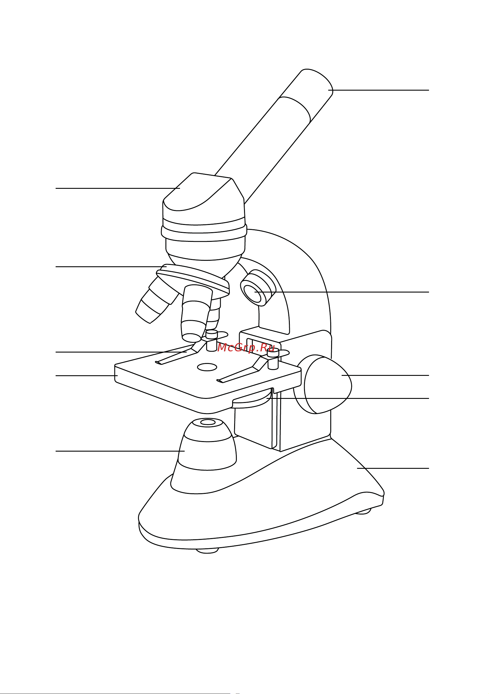 Levenhuk Nano Gravity 77959 Руководство по эксплуатации онлайн [2/40] 783959