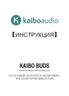 KaiboAudio Buds Wave 1 White (KBB01) Руководство по эксплуатации