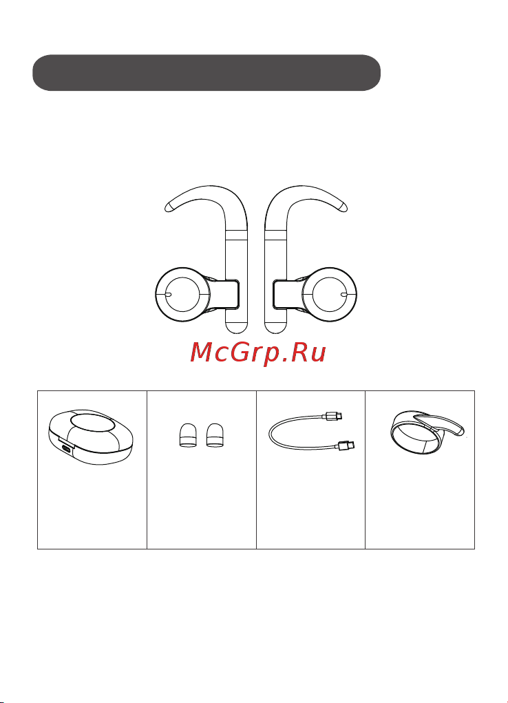 KaiboAudio Buds Wave 1 White (KBB01) [2/8] Комплектация