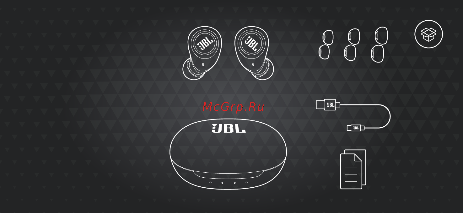 JBL Live Free 2 Silver [2/24] What s in the box