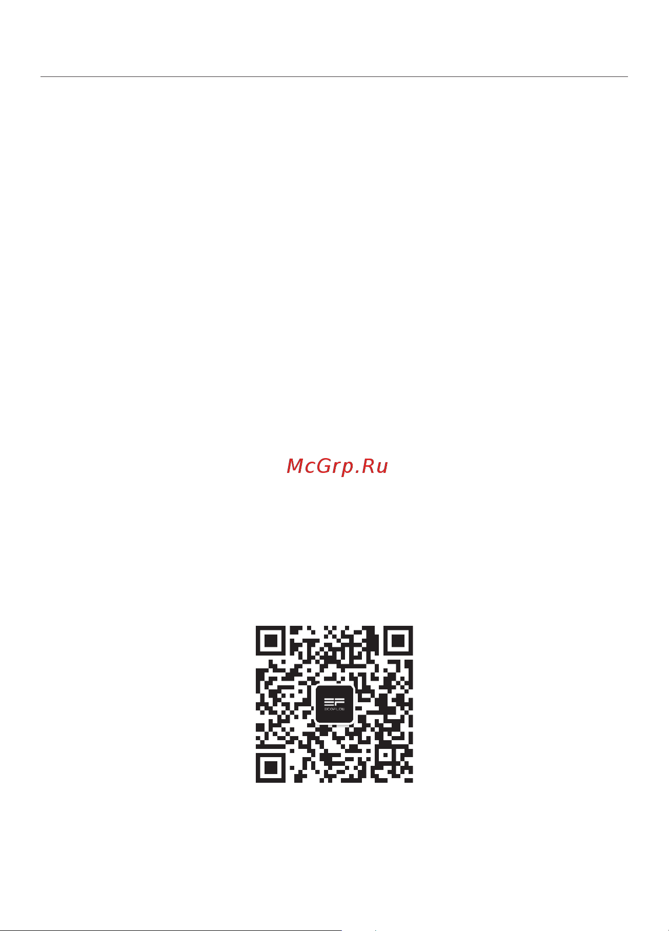 Ecoflow RIVER mini (EFR421) [88/111] 免責聲明