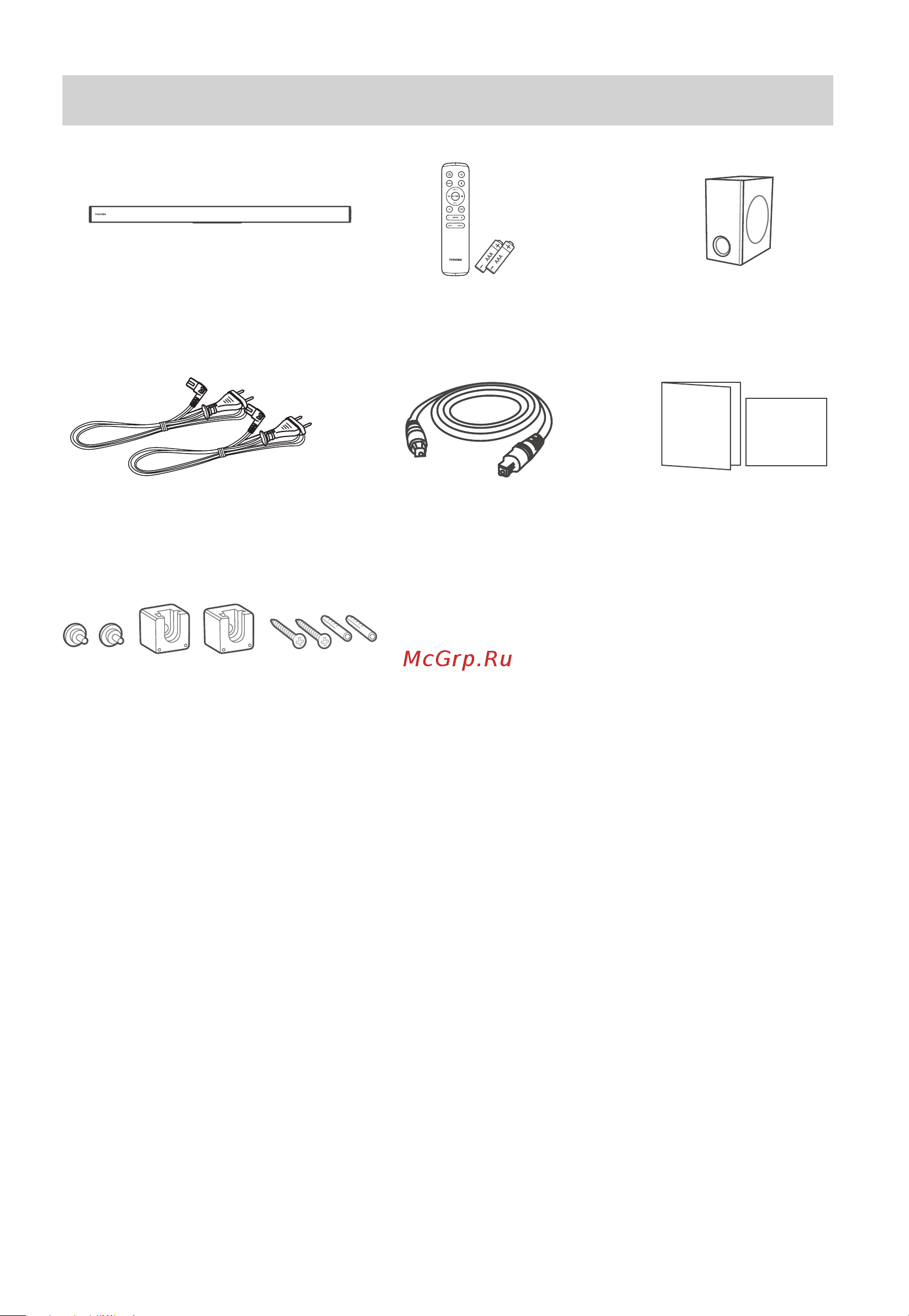 Toshiba TS218 [21/32] What s in the box